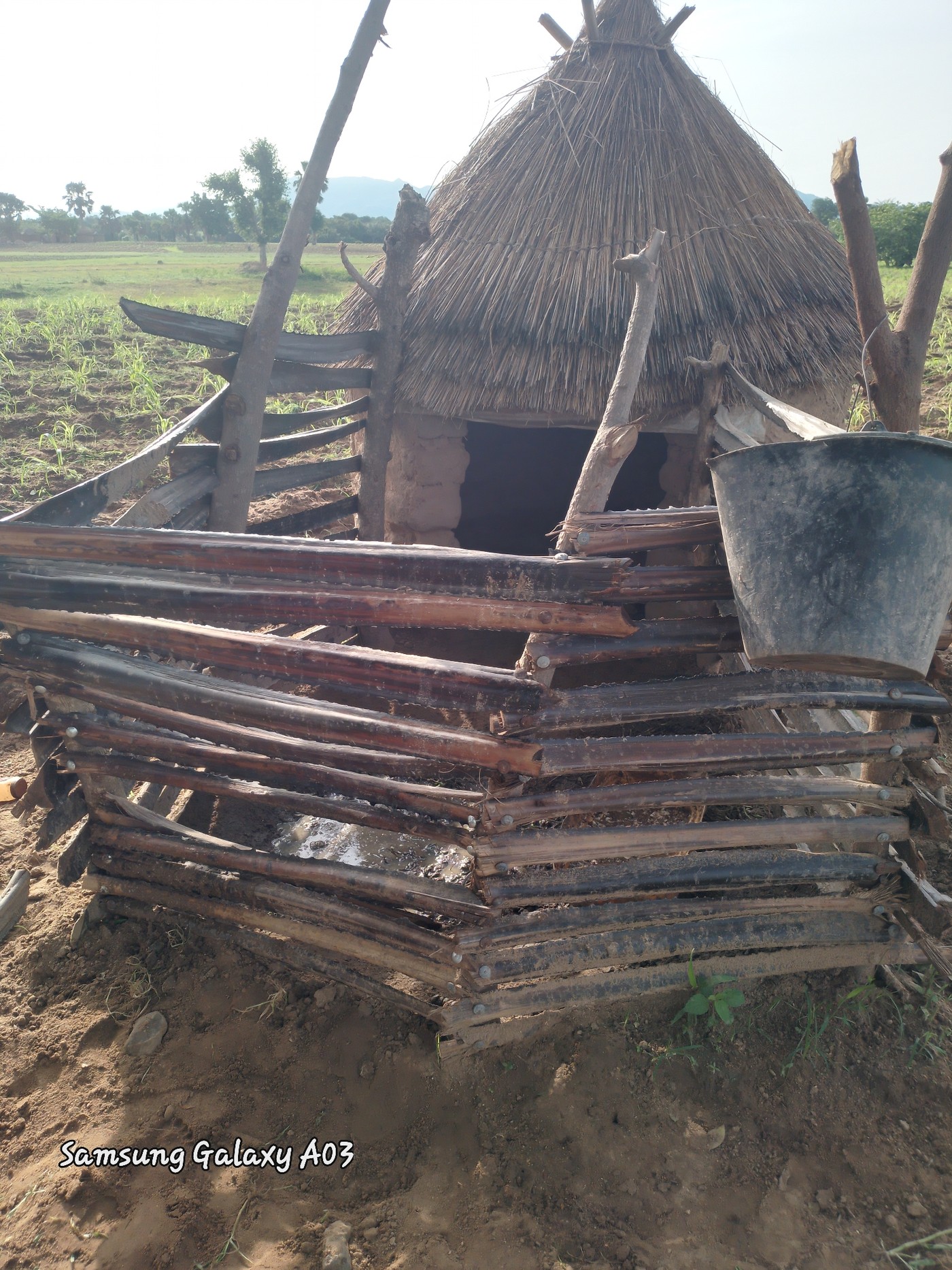 Rural morning scenes documented in Nigerian farming village