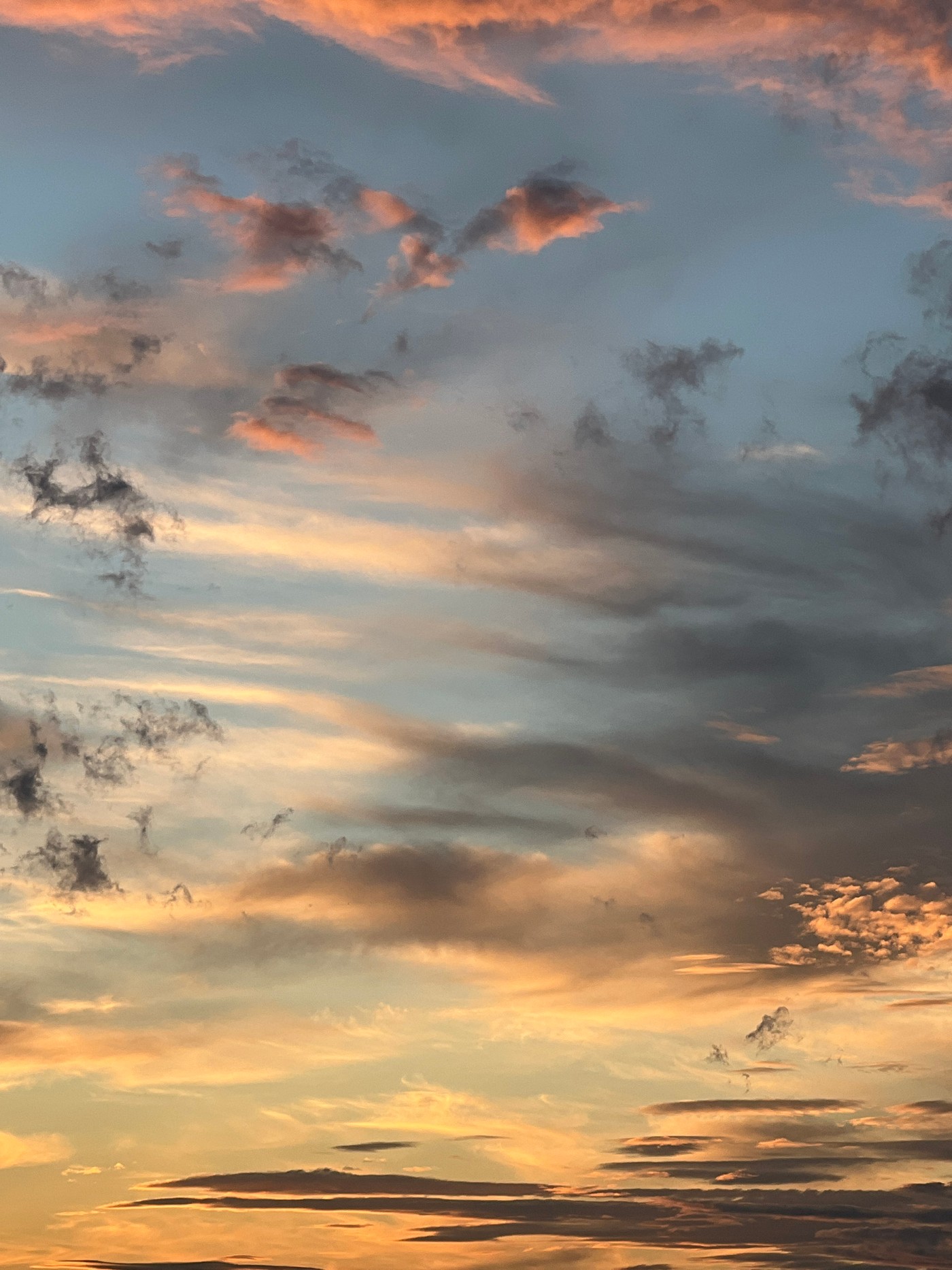 Sinyavino at golden hour: dramatic skies, delivery robots, everyday life
