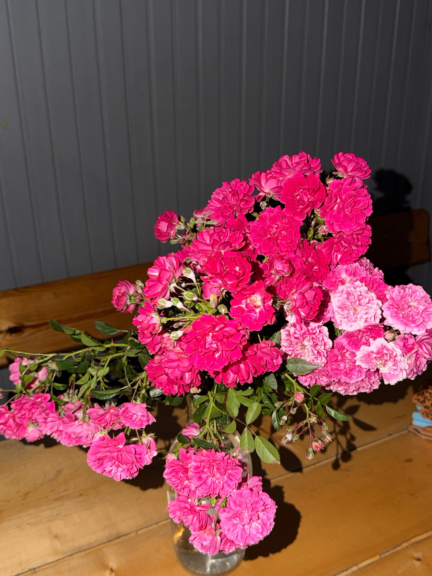 Domestic scenes feature pink flowers, cats, plants documented Friday evening