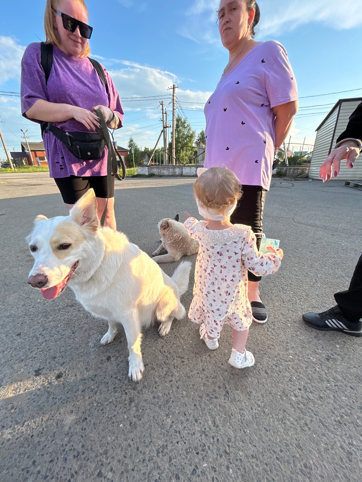 Lazy afternoon in Chernushka with a white dog in tow
