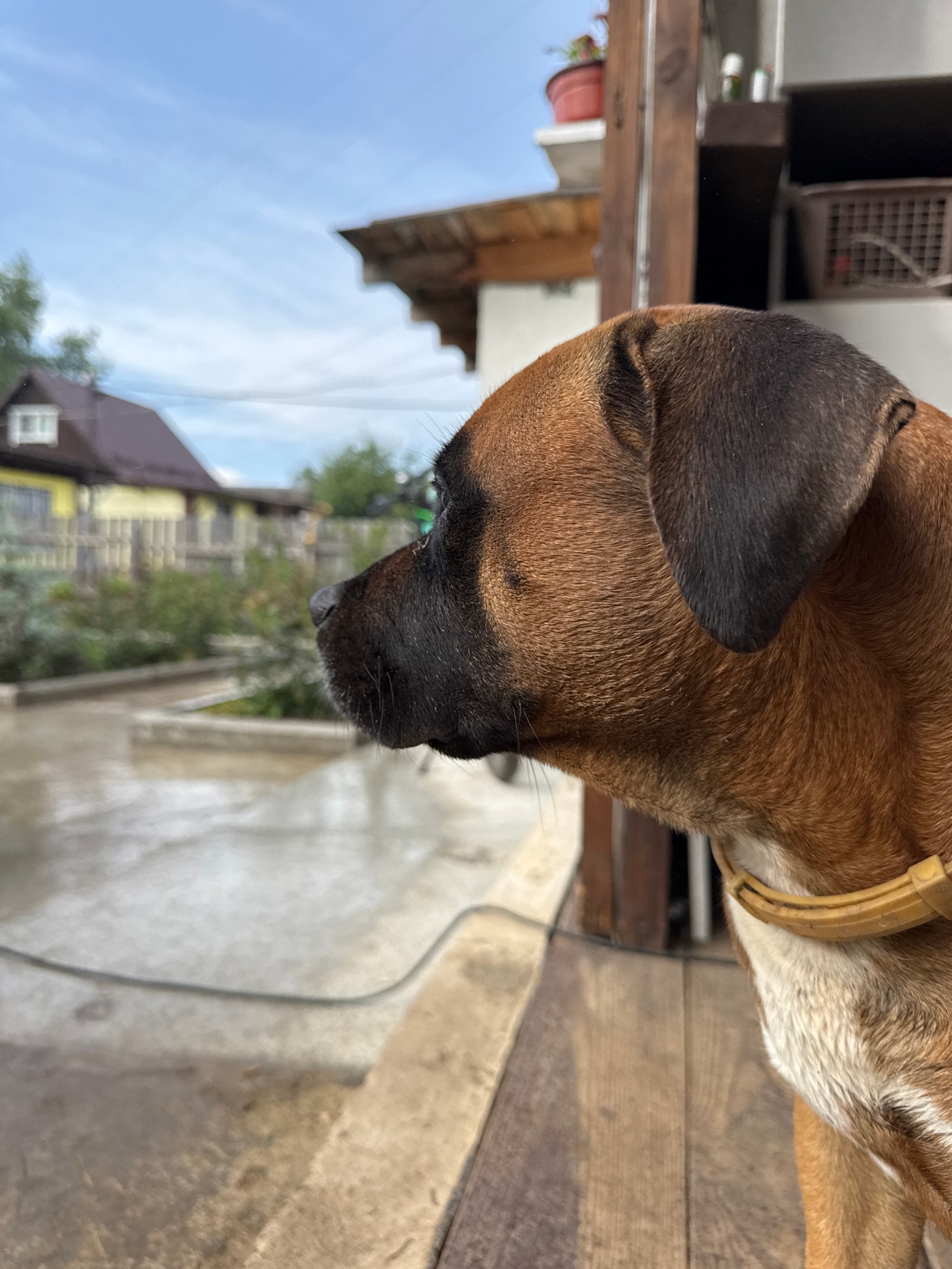 Summer afternoon in Chaikovsky: stormy skies, strawberries, and countryside moments