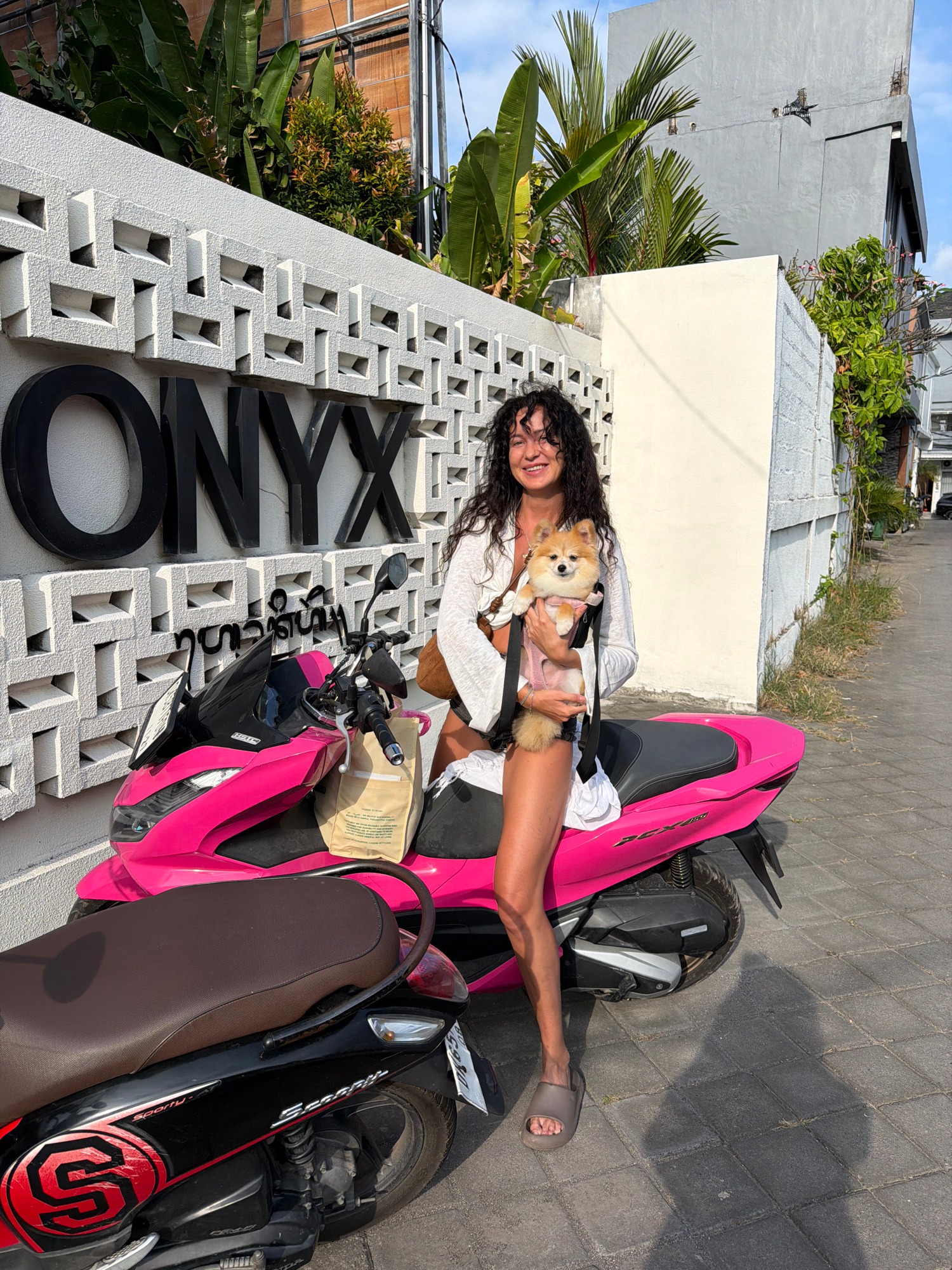 Fluffy dog in tow on a bright pink scooter
