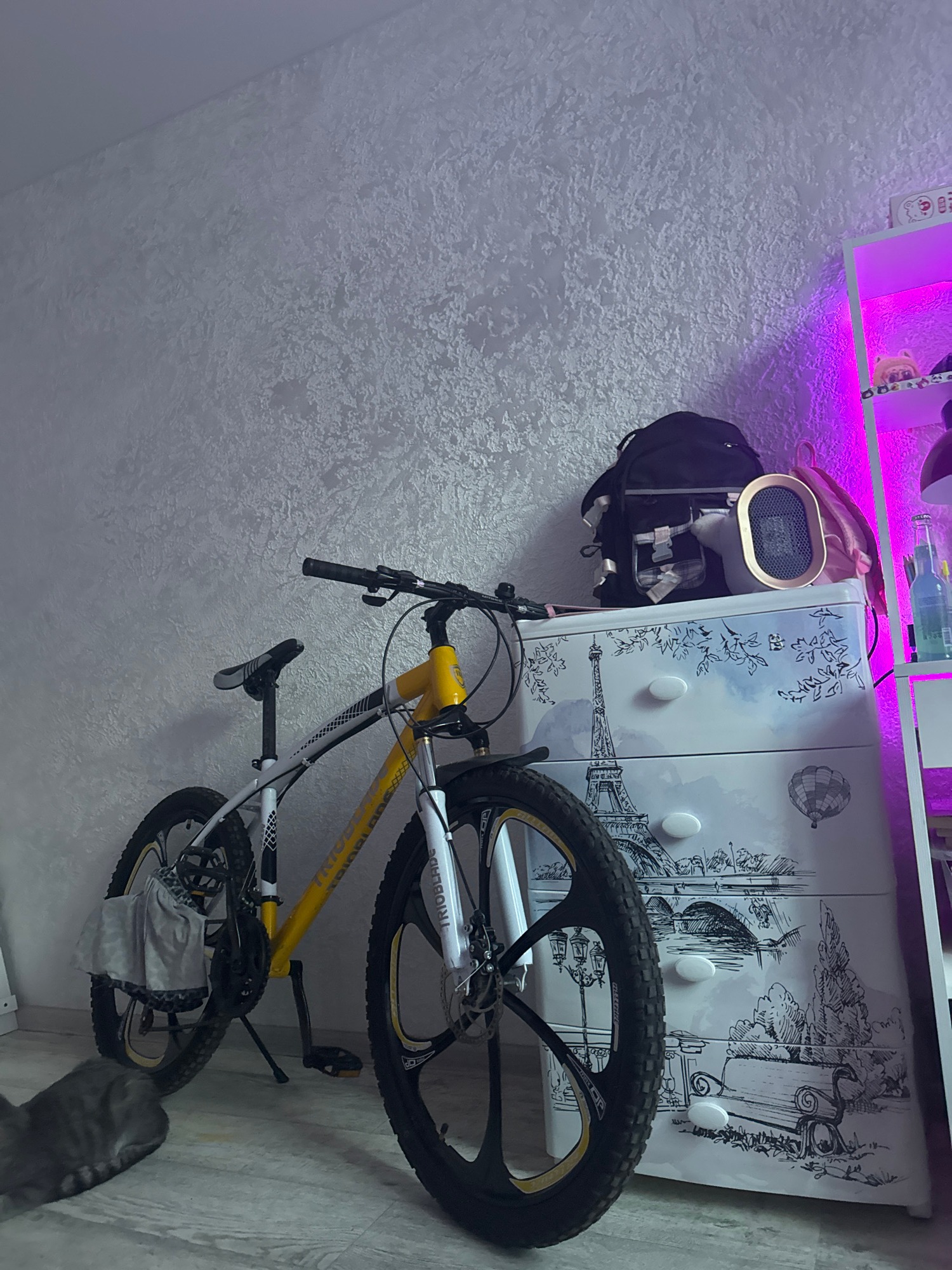 Cat, cozy bedroom vibes, and purple LED home setup