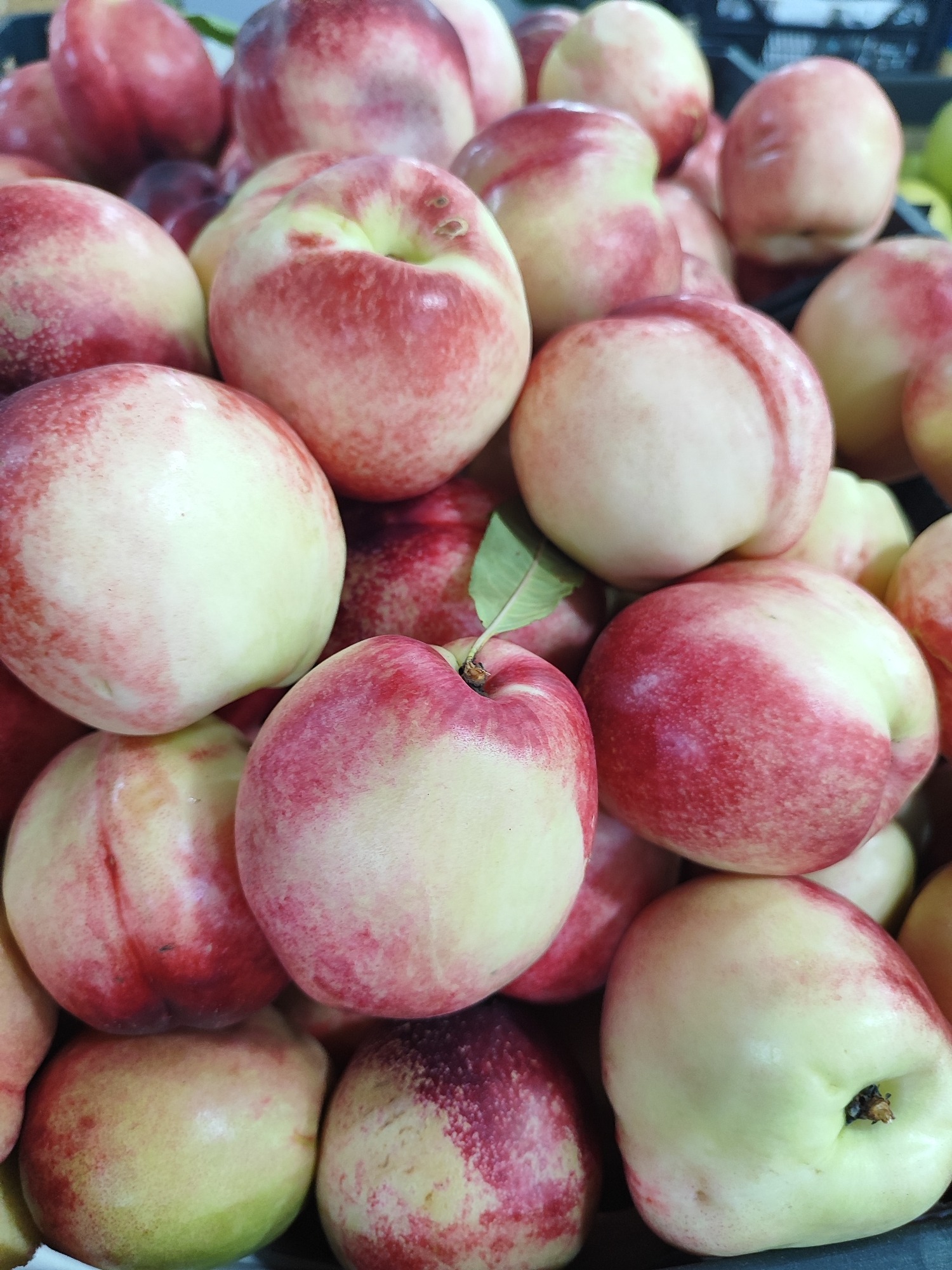 Overhead close-ups of a colorful fresh fruit spread