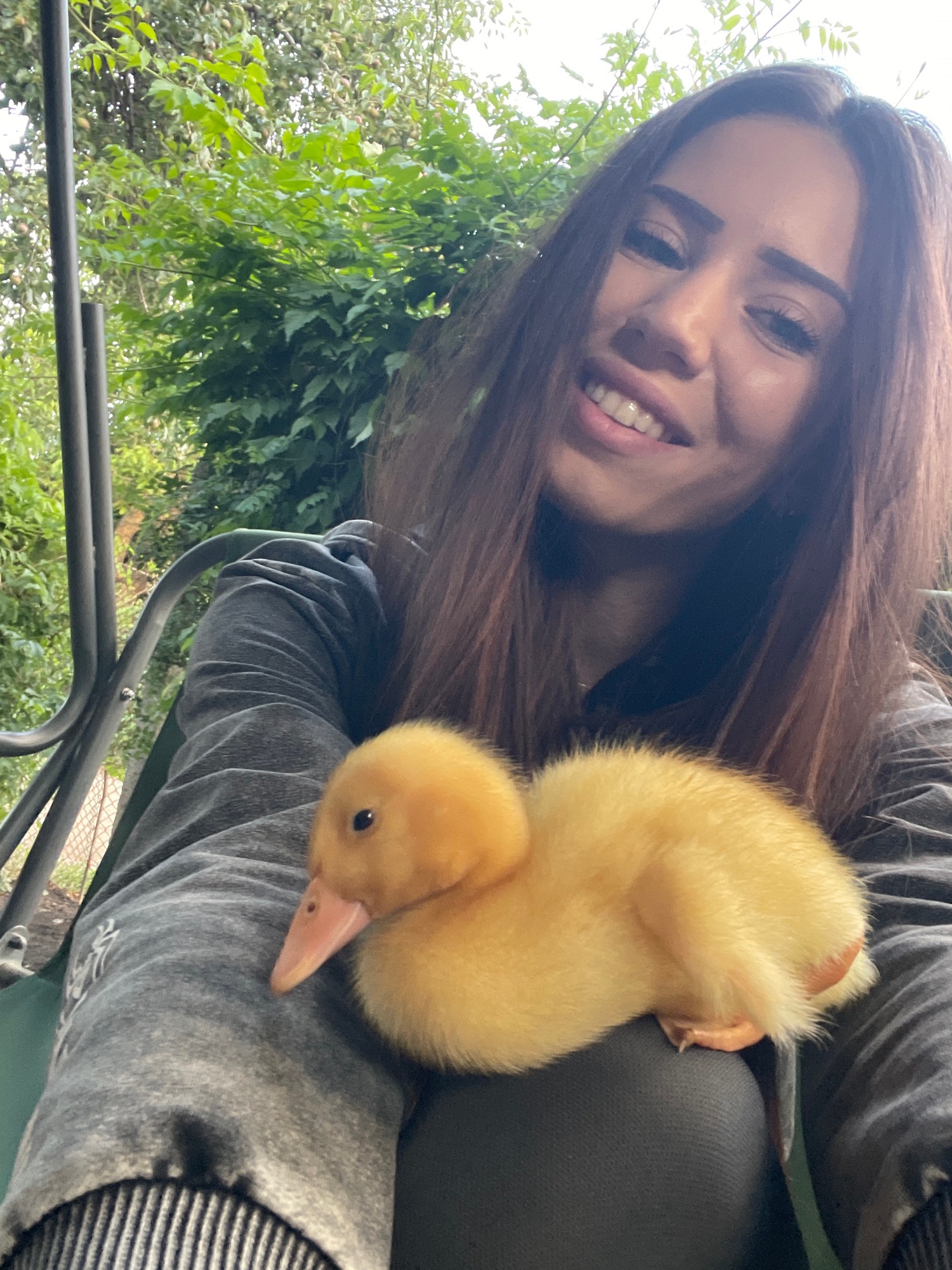 Afternoon with a fluffy duckling, a hamster, and good vibes