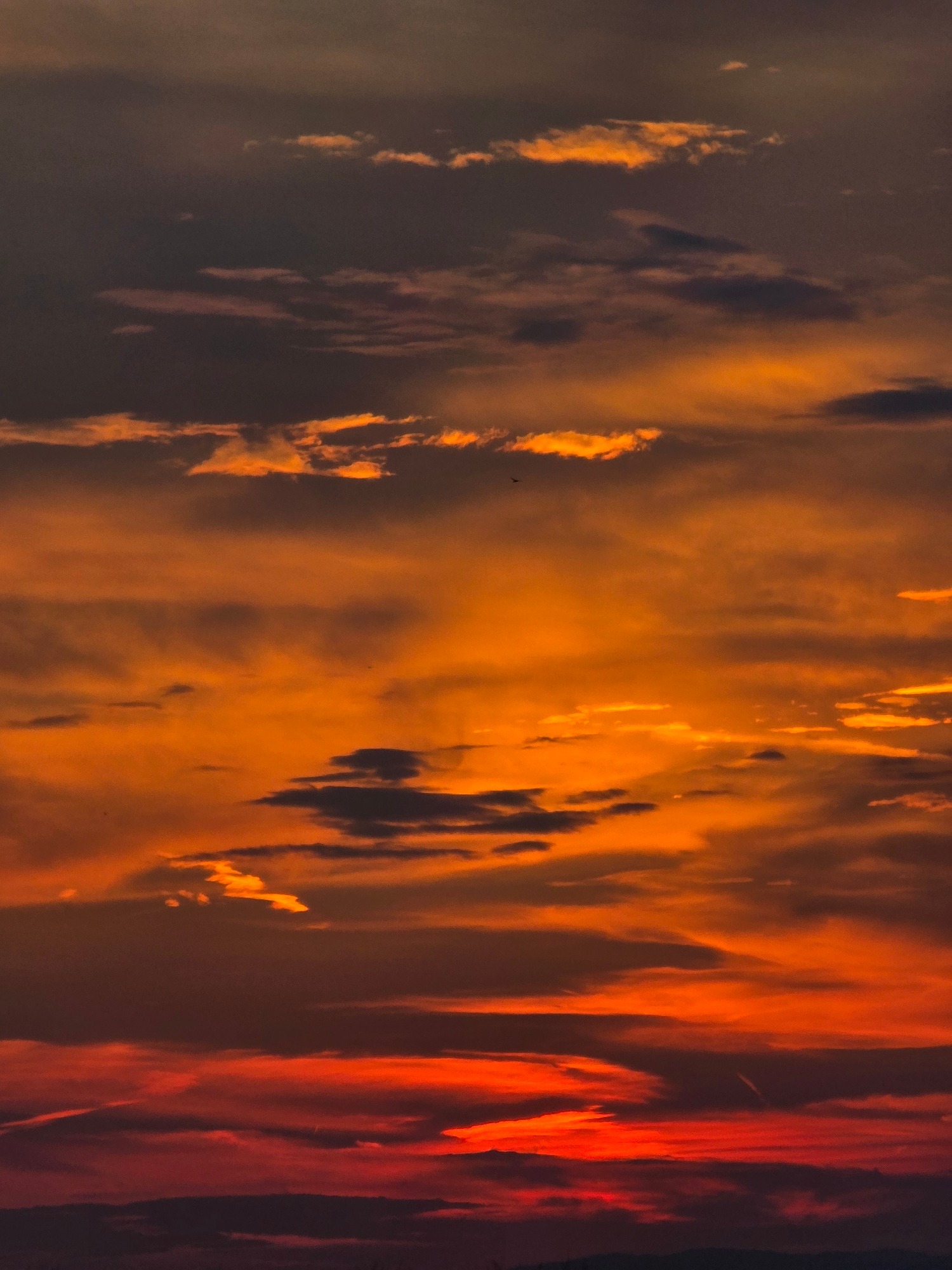 Aerial views of a city residential area at sunset