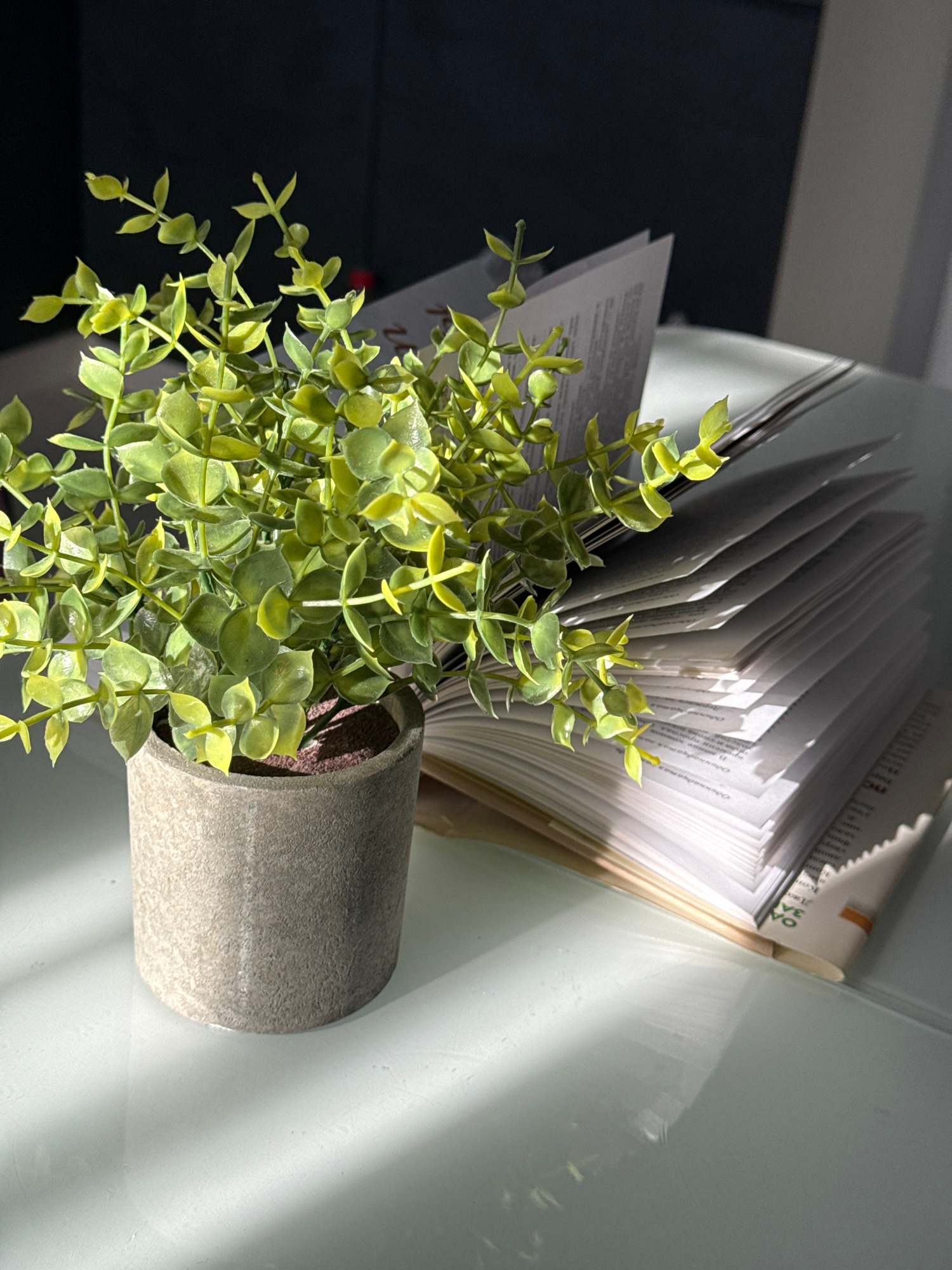 Afternoon reading session at a sunlit home desk