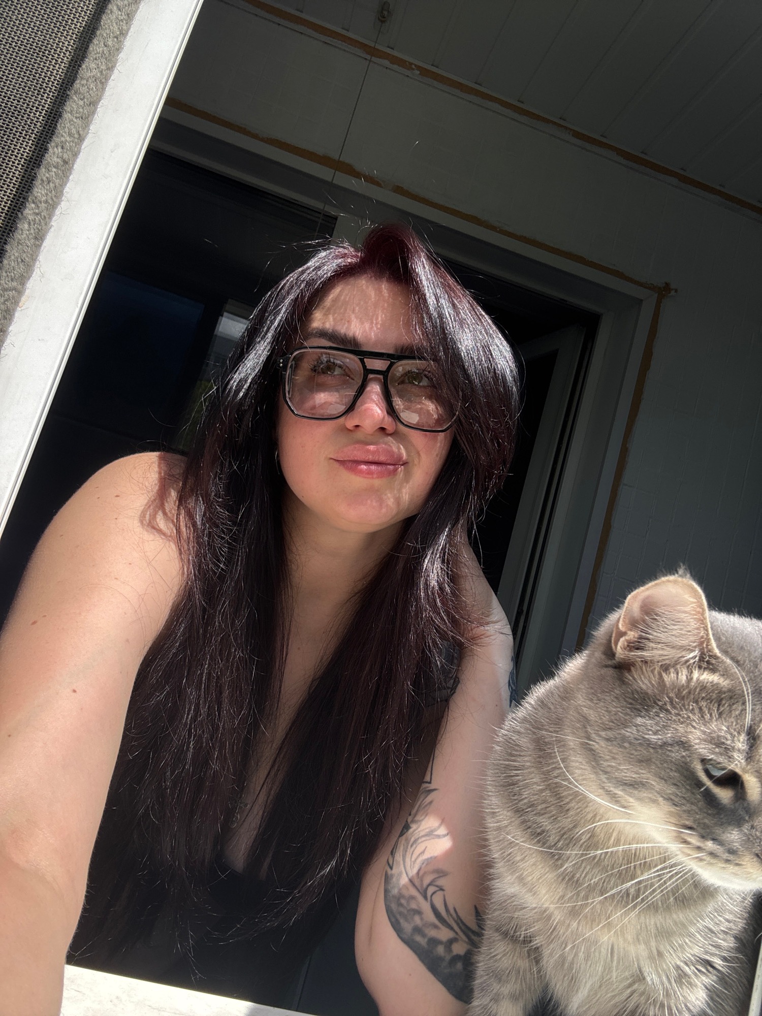 Candid photos with a gray tabby cat, indoors and out