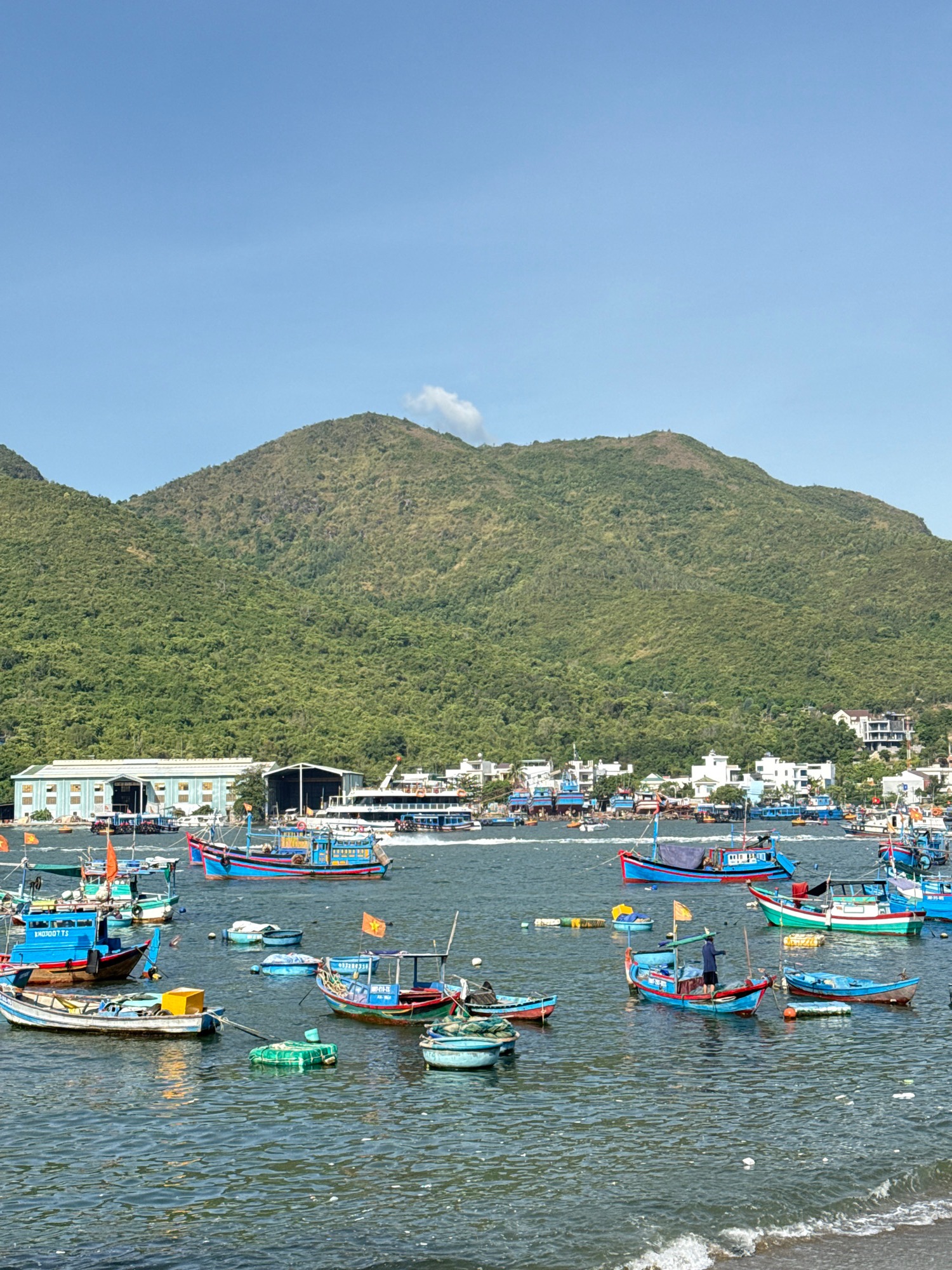 Colorful fishing fleet moored in a calm mountain-backed harbor