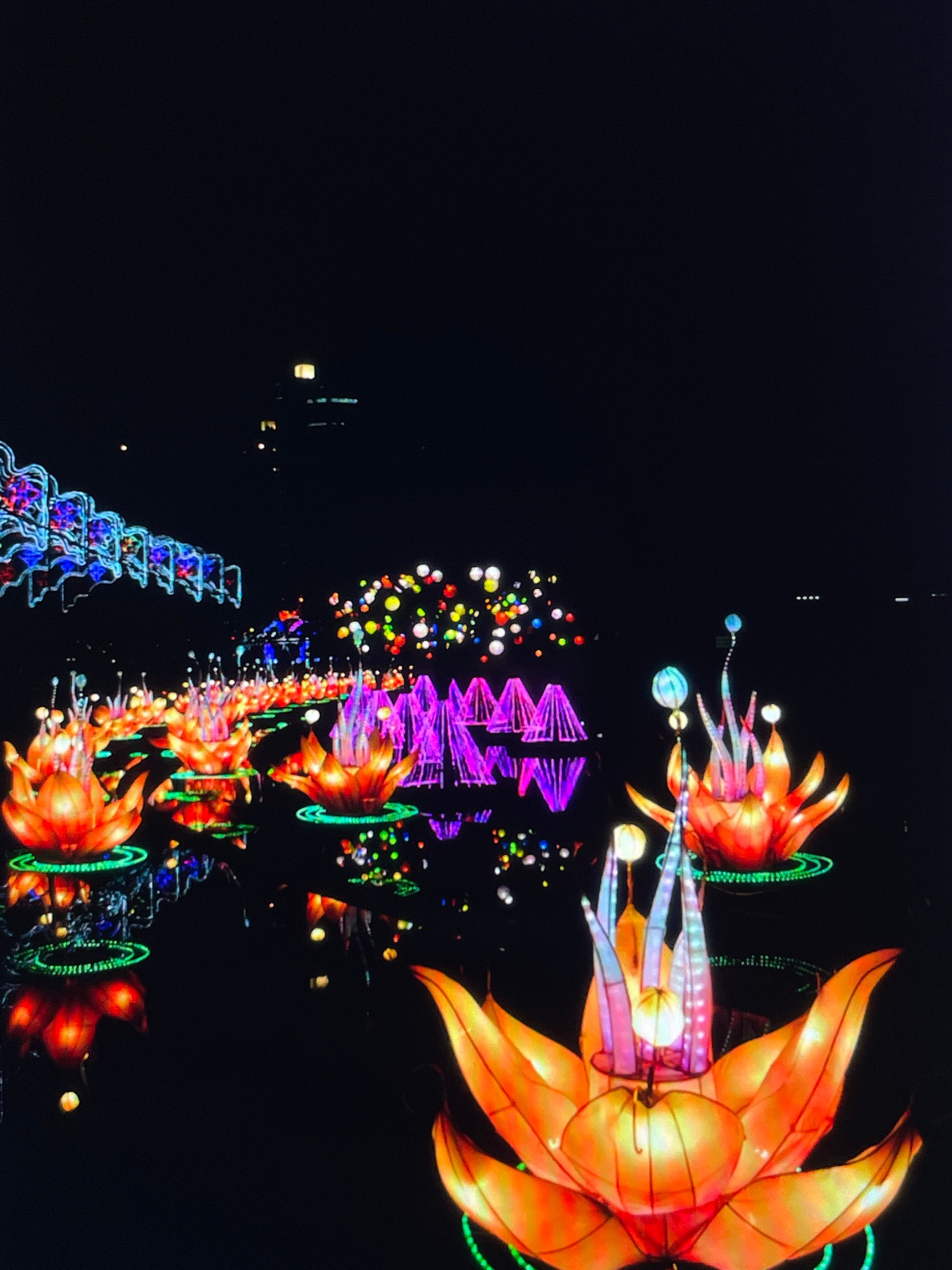 The Art of Illumination: Inside the Night of the Dragon
