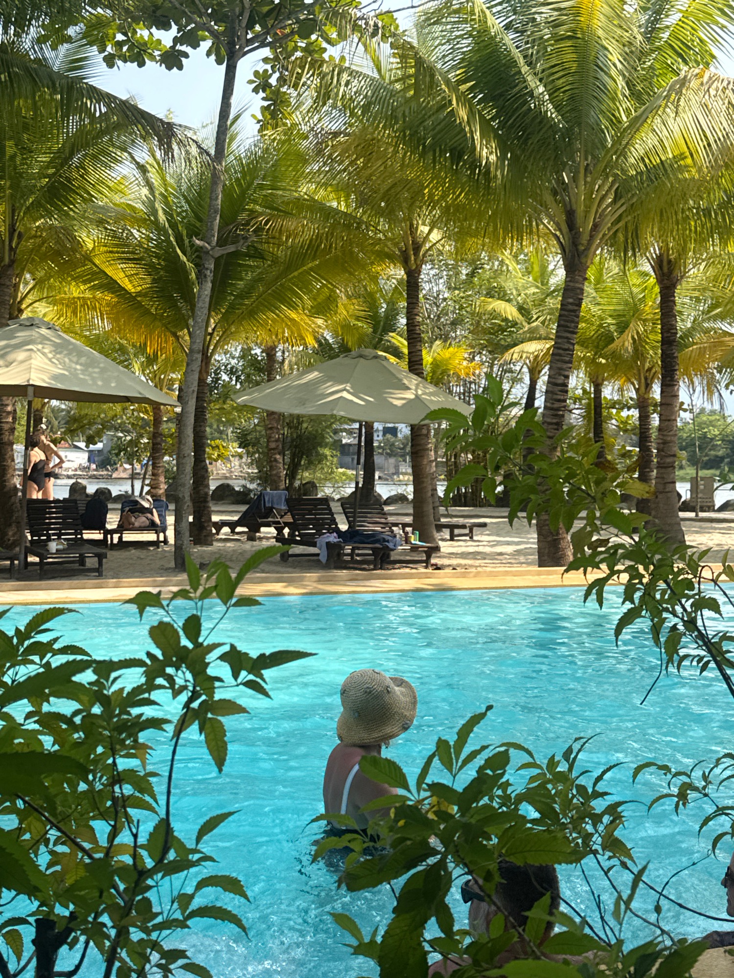 Tropical Escape: Sun-Drenched Days by the Poolside