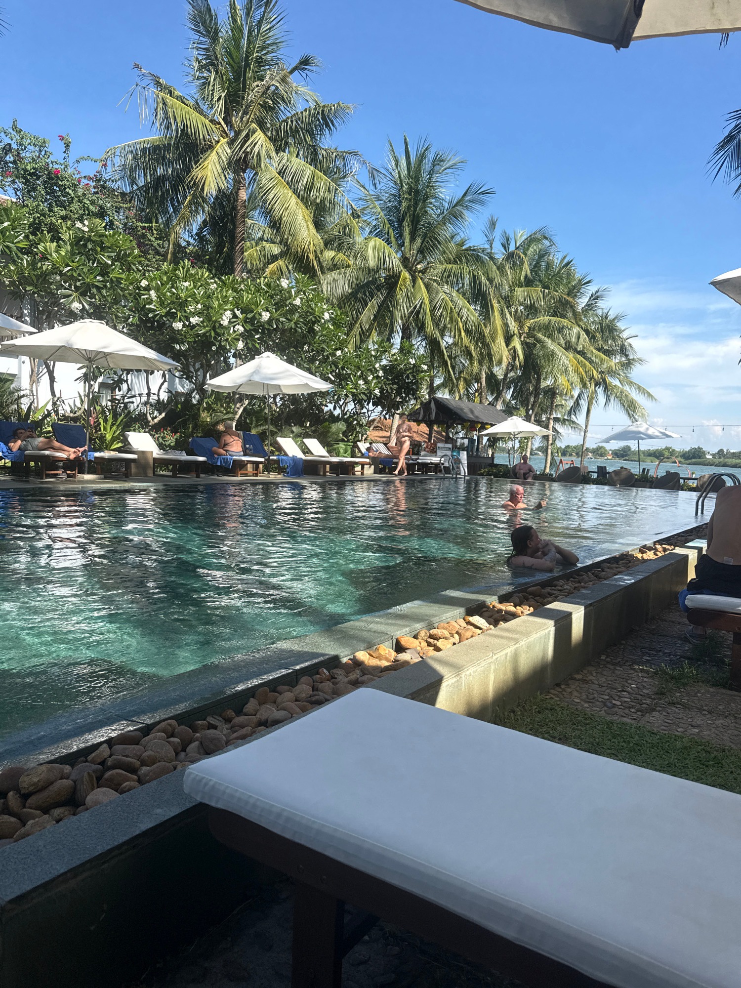 Tropical resort pool documented during sunny morning hours
