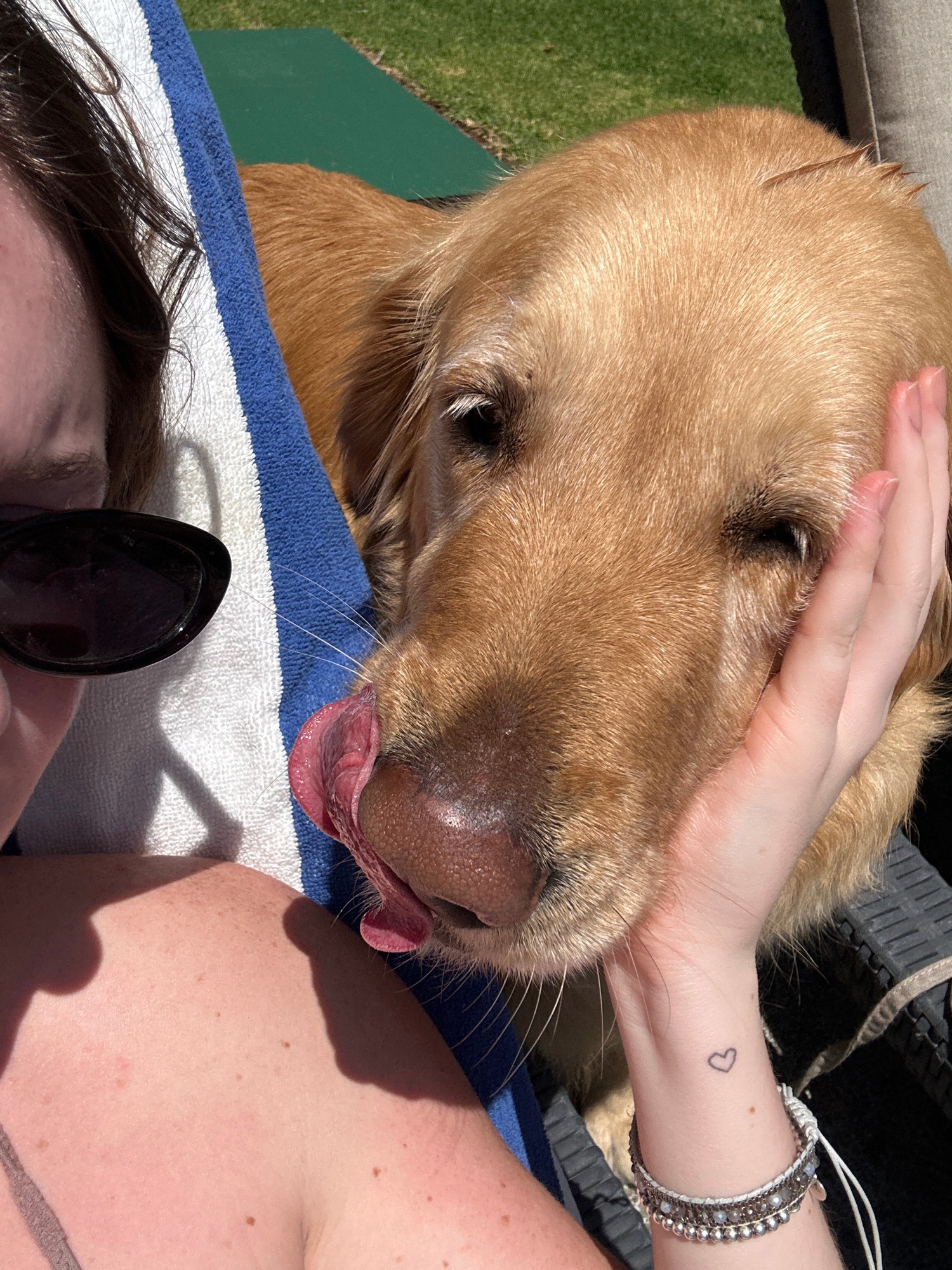 Golden retriever enjoys poolside moments with tattooed owner