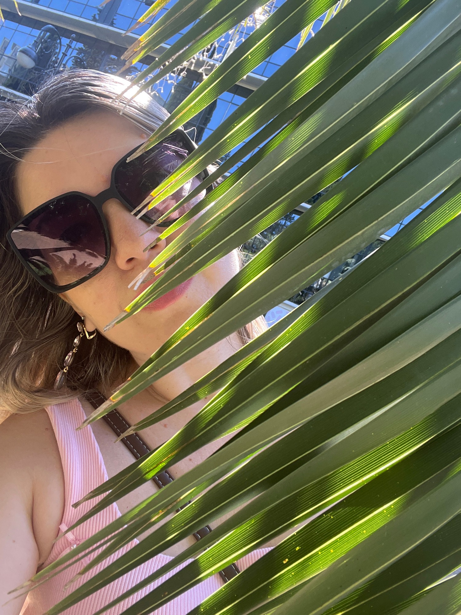Sunny midday stop: palm trees, magnolias, and a red-flagged building