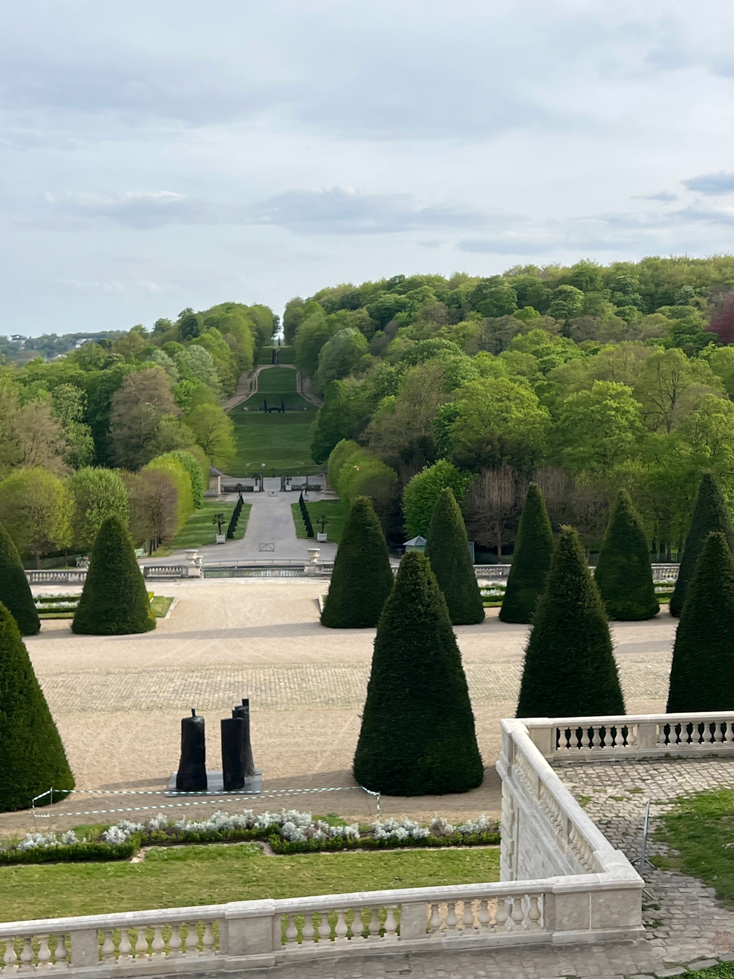 Dog spotted in formal garden setting with manicured grounds