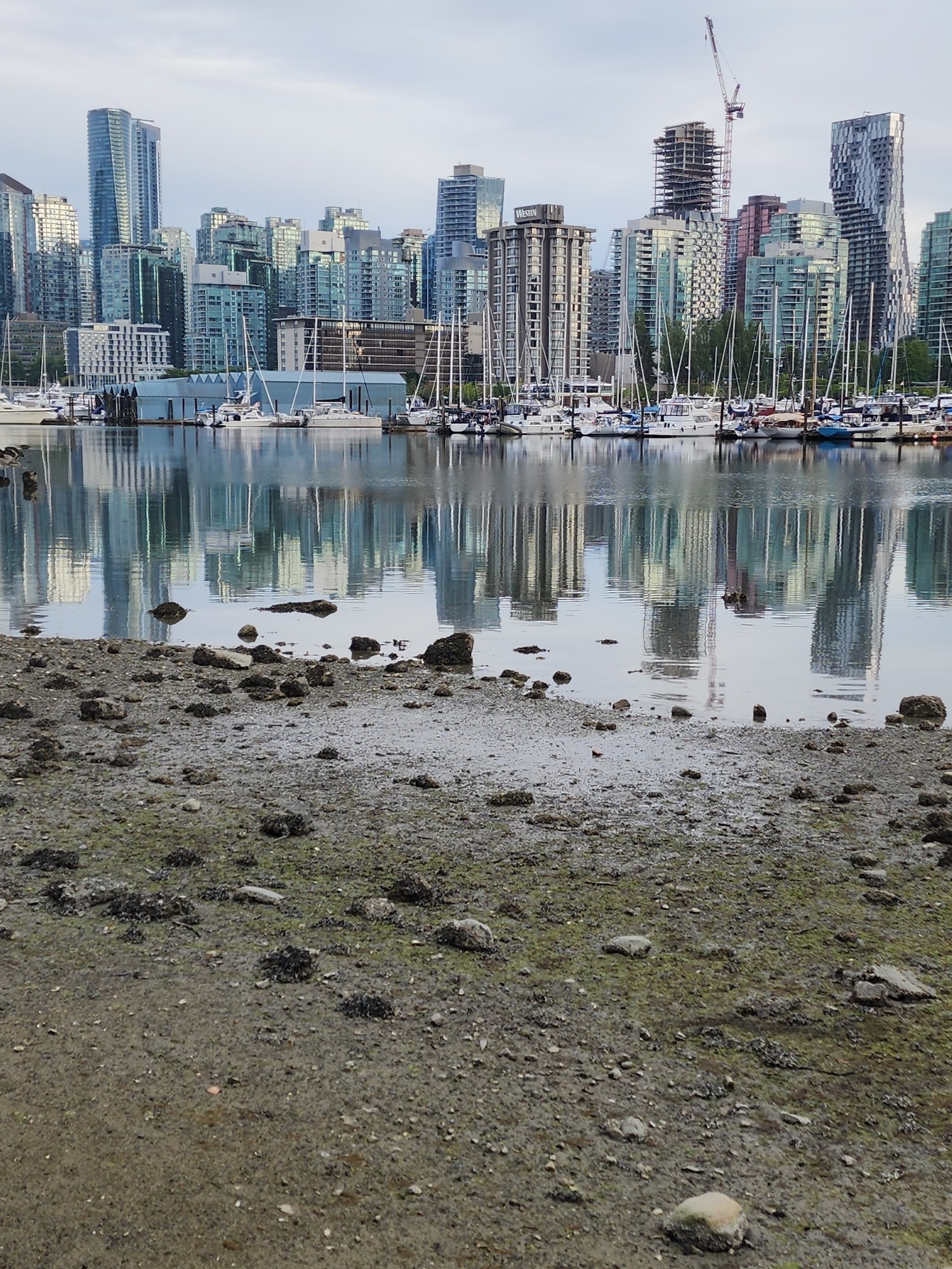 The Serene Rhythms of Life Along the Vancouver Waterfront