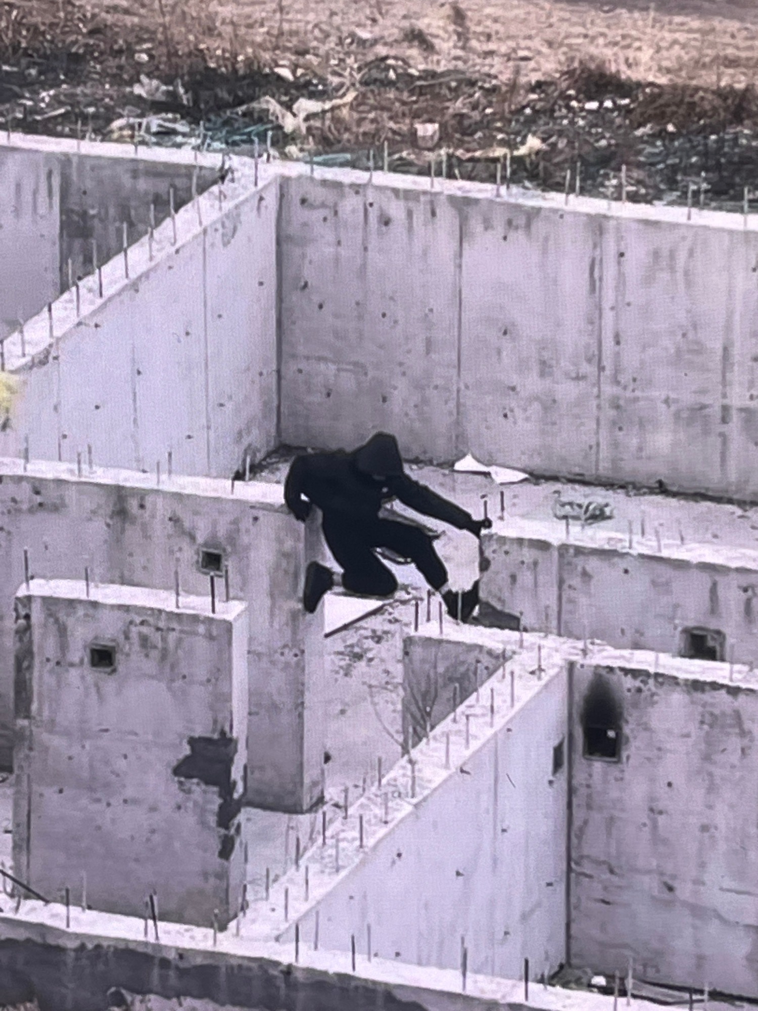 The Enigmatic Tuxedo Cat: From Cardboard Forts to Forest Trails