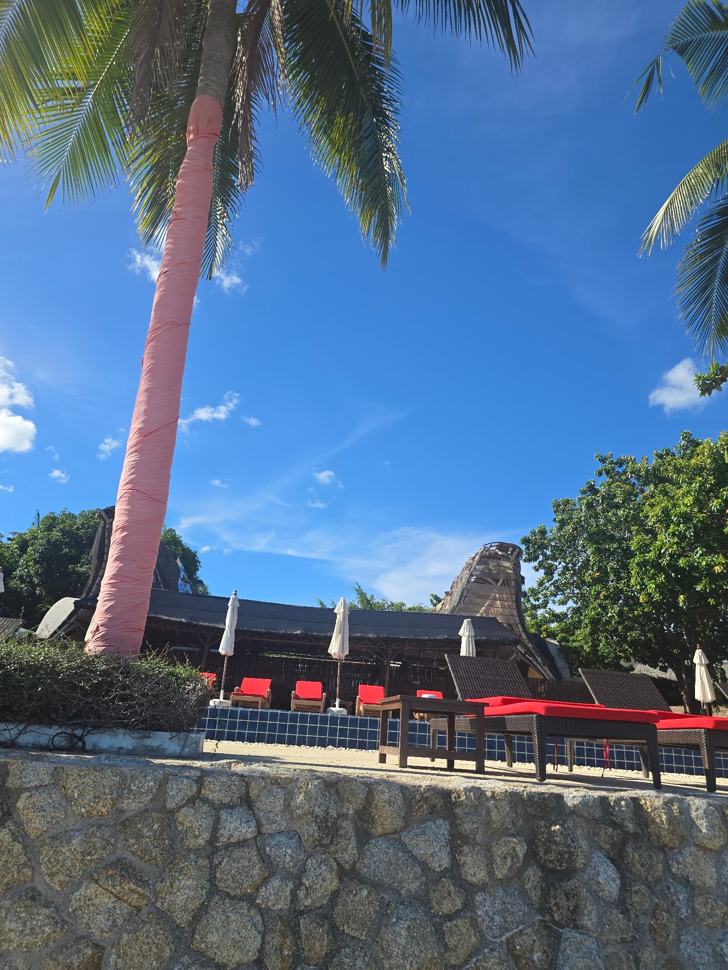 A quiet tropical beach morning, explored from shore to shoreline.