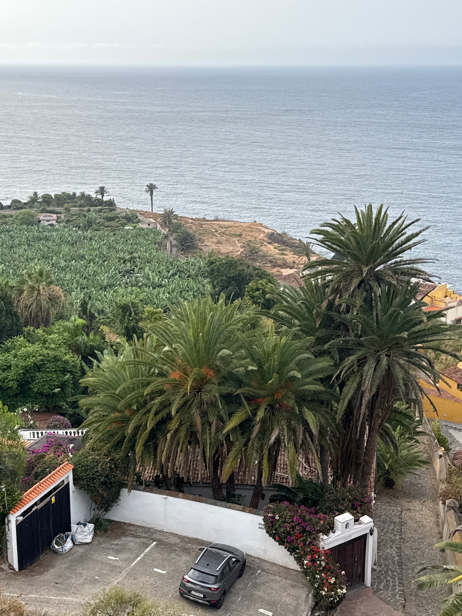 Coastal overlook stop with ocean views and a car break