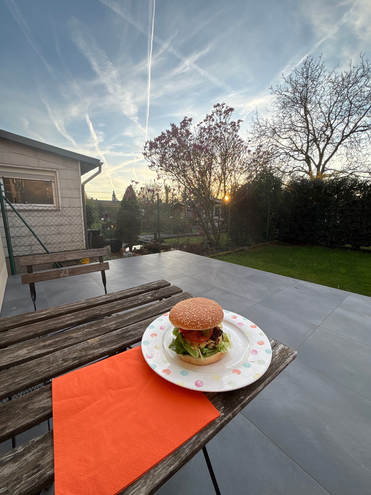 Hamburger meal captured at outdoor patio dining location