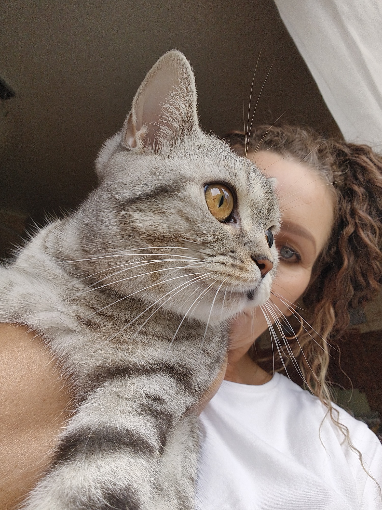Close-up selfies with a grey tabby cat