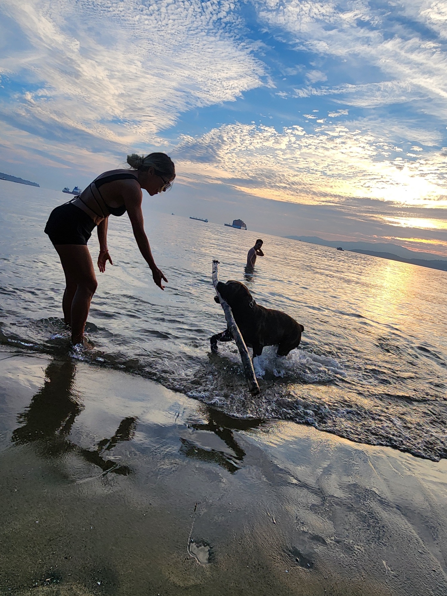 Beach day with a dog in the shallows and paddleboard nearby