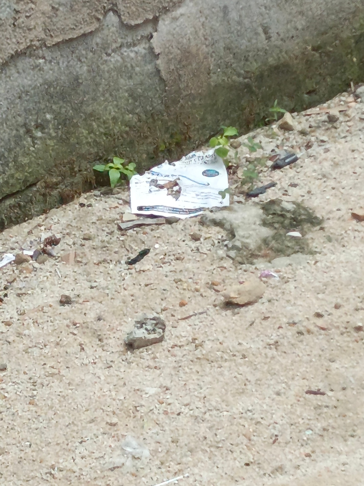 Urban litter documented on sandy ground near concrete wall