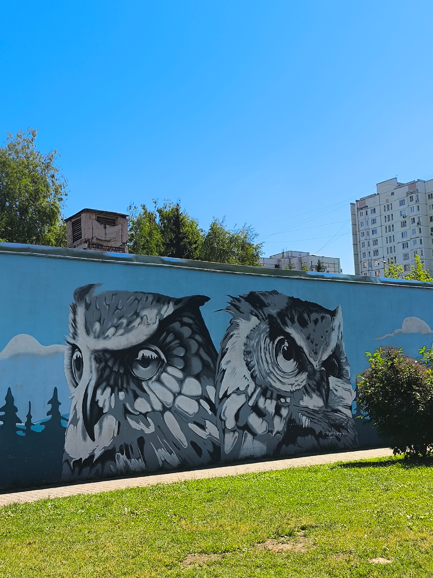 Urban park morning: fountains, ducks, raspberries, and street art
