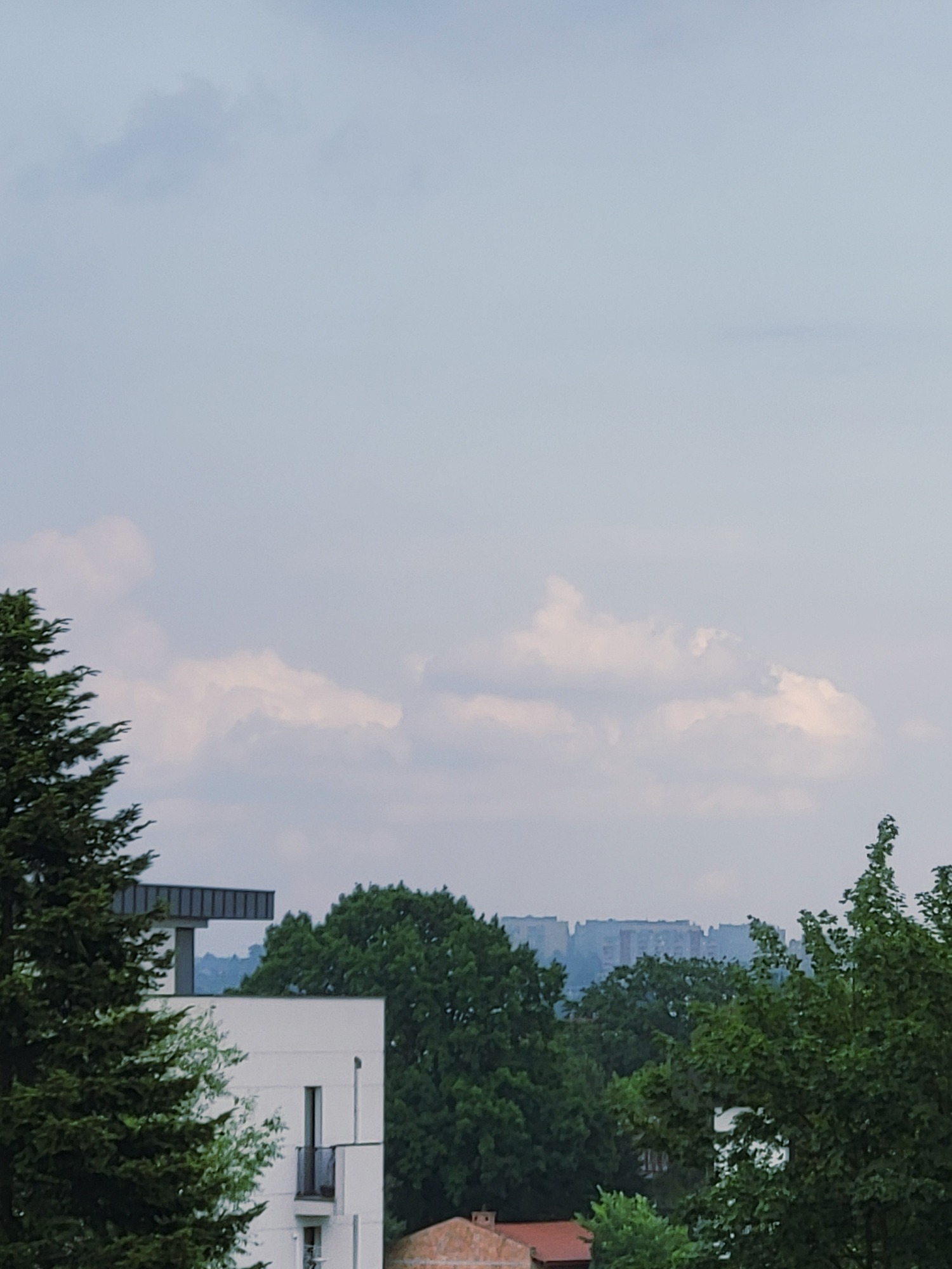 Scottish Fold cat chills indoors while cloudy cityscape sits outside