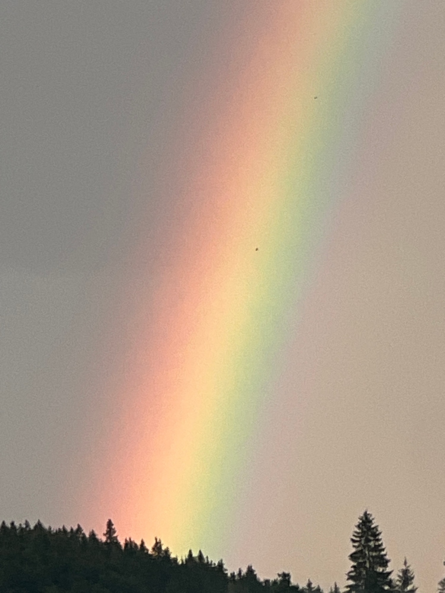 Rainbow over forested mountain hills with a hillside building