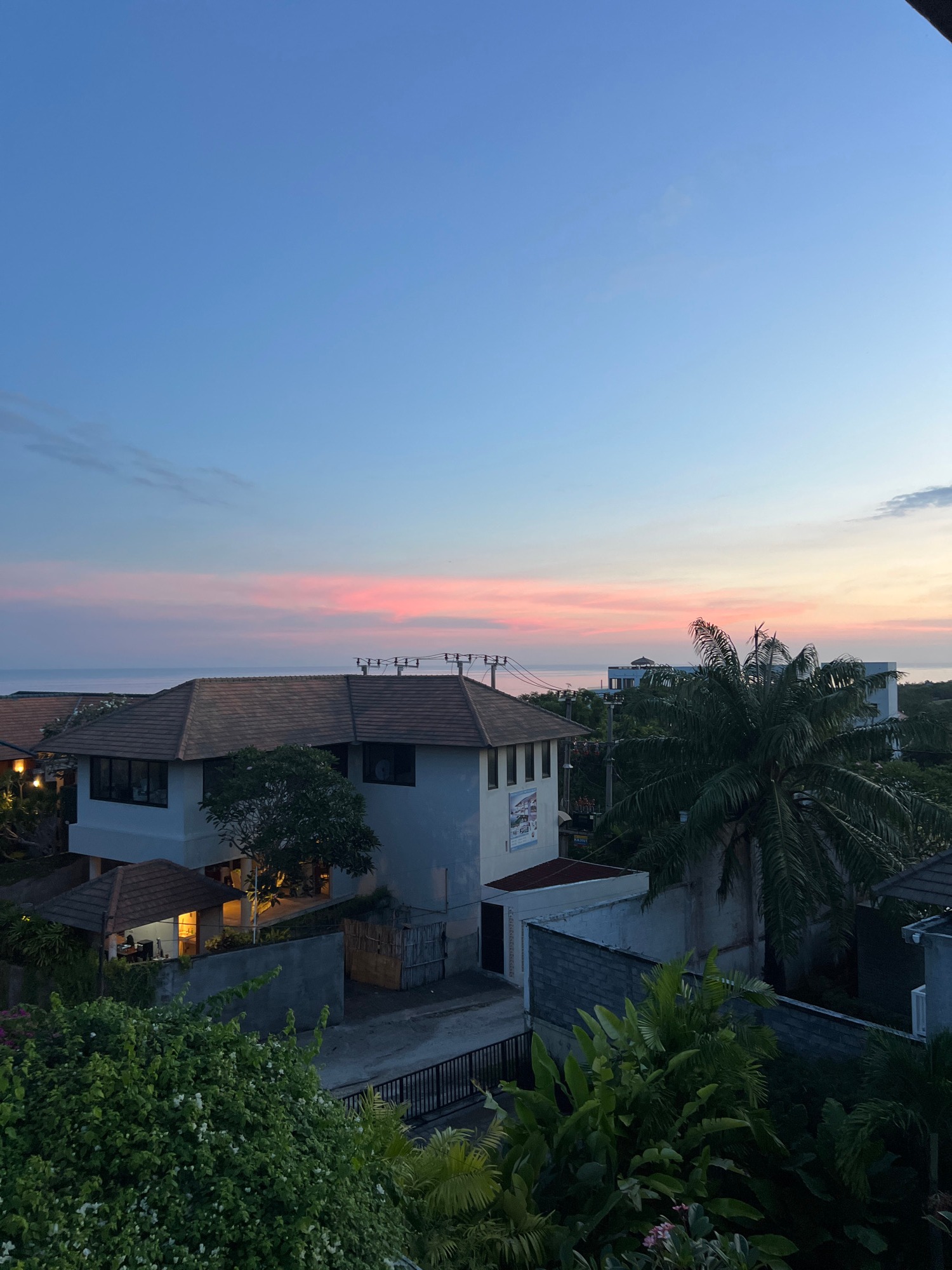 Morning observations capture coastal city life and pet moment