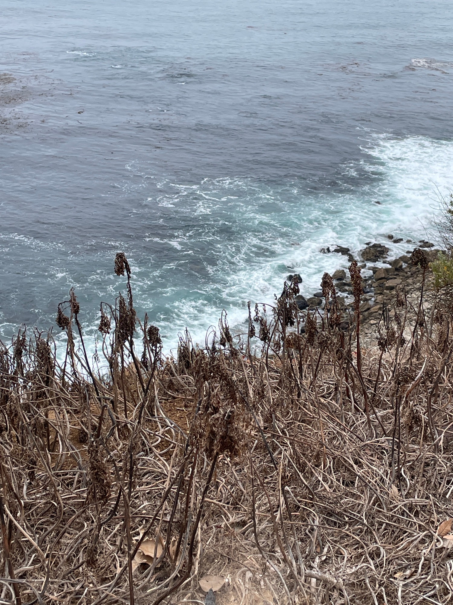 Late-night coastal documentation at Point Vicente Lighthouse, California
