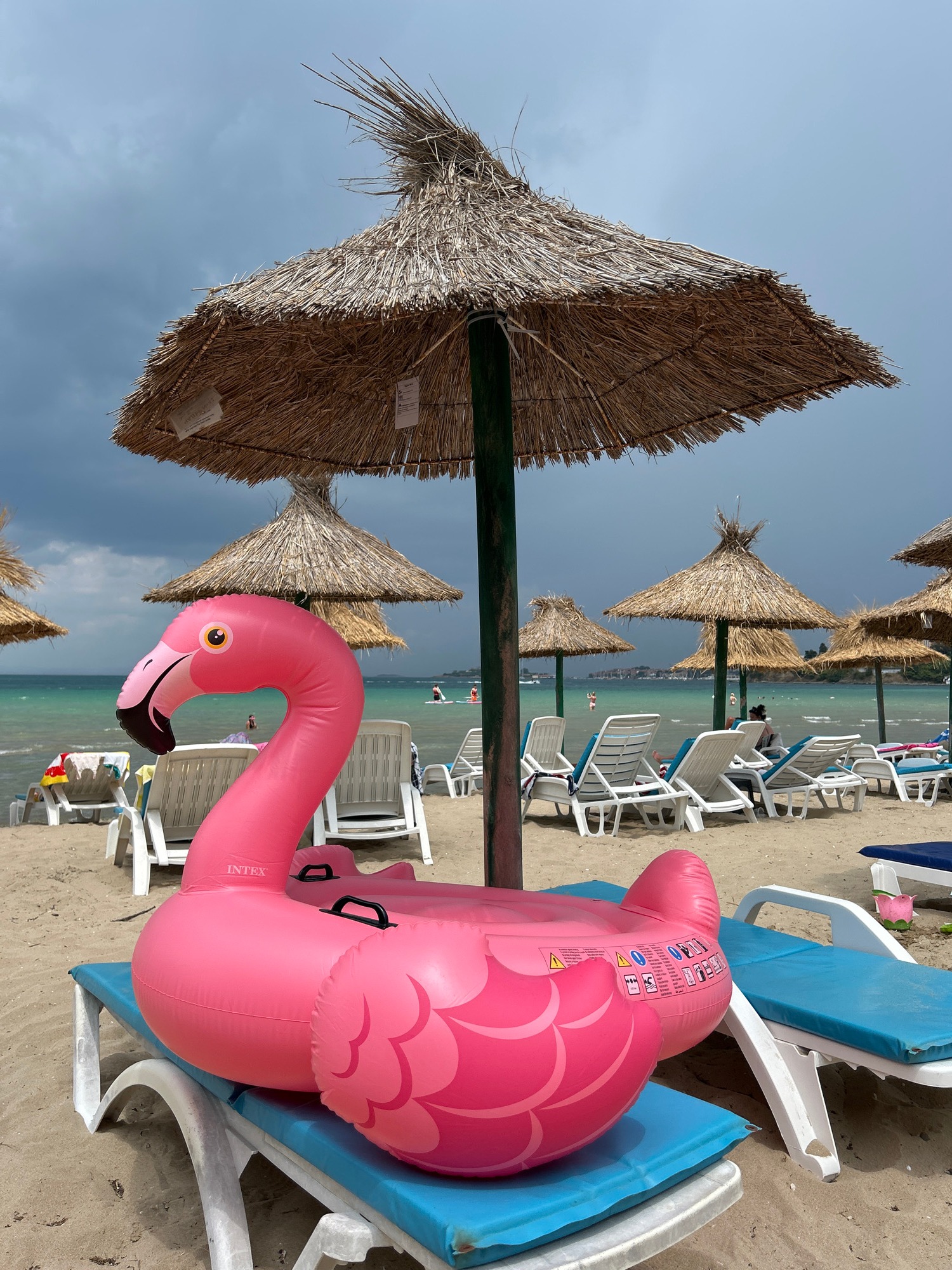 Beach resort morning: flamingos, waves, and weathered details