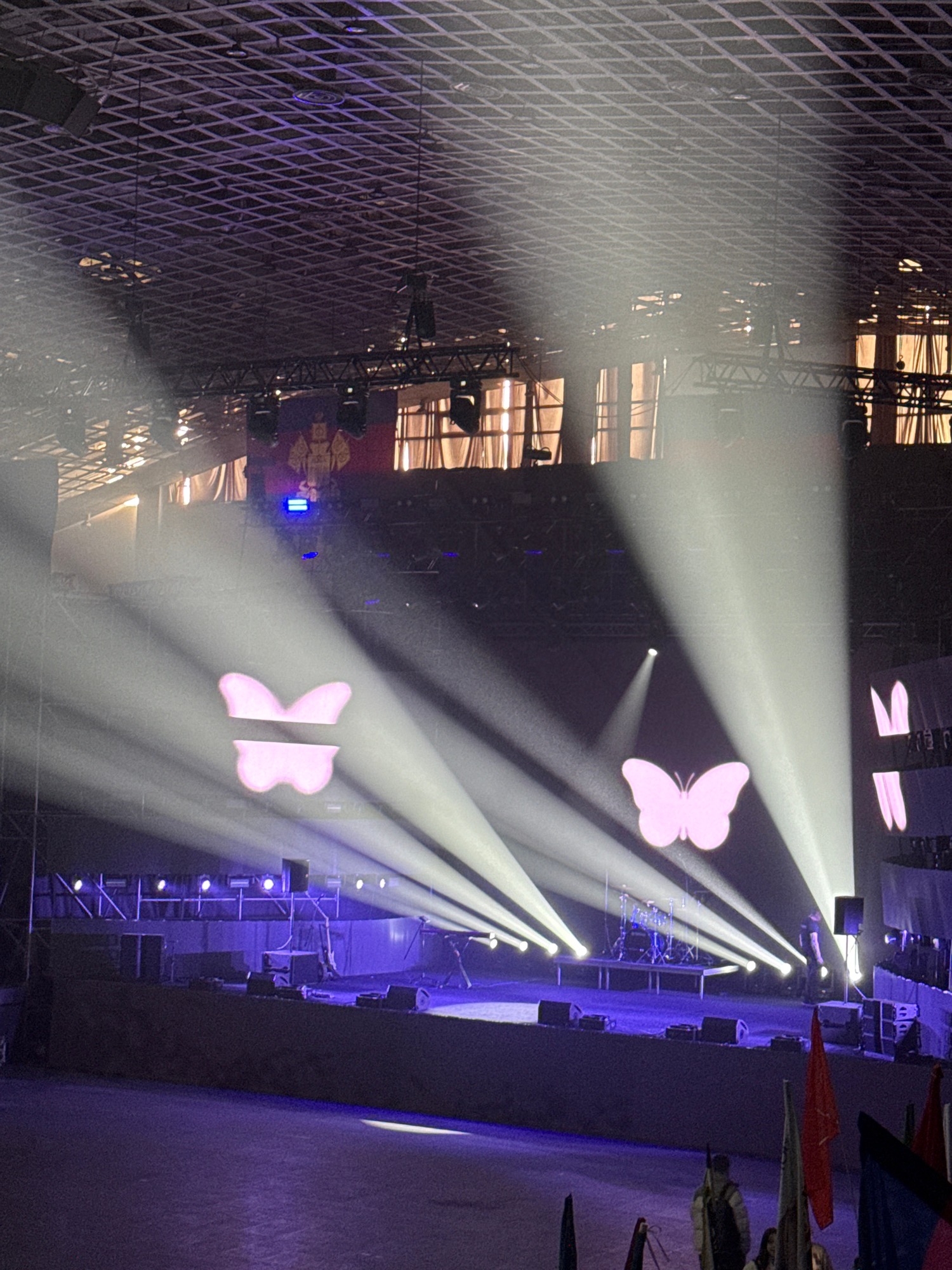 Butterfly Spectacle: An Arena Concert Unfolds