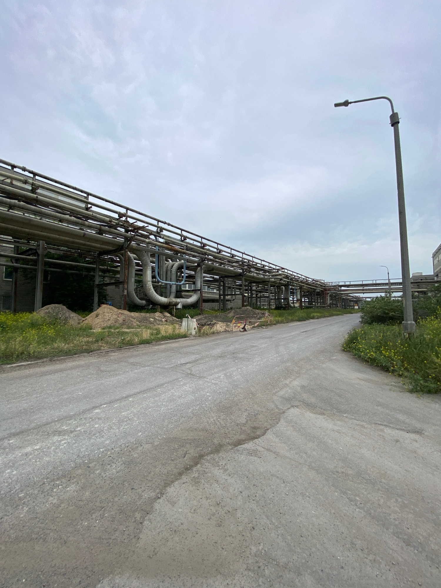The image depicts an industrial setting with a paved road running alongside a complex network of pipes. The pipes are elevated and supported by a metal framework, creating a multi-layered structure. Greenery, including grass and some yellow wildflowers, grows along the edge of the road and near the base of the pipe structure. A tall, thin lamppost with a bent arm is visible against the overcast sky. The sky is a pale gray, suggesting a cloudy day, possibly in the morning or late afternoon. The road surface appears weathered, with cracks and some areas of wear. In the background, hints of industrial buildings can be seen amongst the vegetation and pipework. There is no visible text in the image. The scene conveys a sense of industrial infrastructure and the natural elements encroaching on it. The absence of people suggests a quiet moment within the industrial complex.