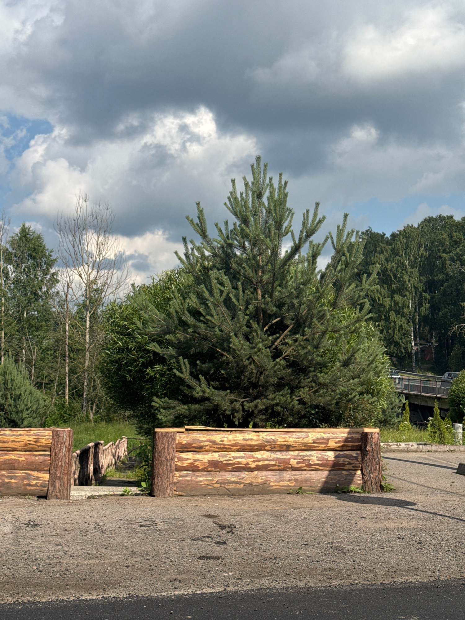 The image depicts an outdoor scene with a prominent pine tree in the center, flanked by a wooden barrier constructed from logs. In the background, a bridge with railings can be seen, with cars driving across it. Dense green trees and foliage surround the area, and the sky is filled with a mixture of blue sky and dark, cloudy formations. The ground in the foreground appears to be a mix of gravel and asphalt. The scene is set in a park or natural area. It is not possible to determine the specific city of Gorodok, Russia from the provided image alone.