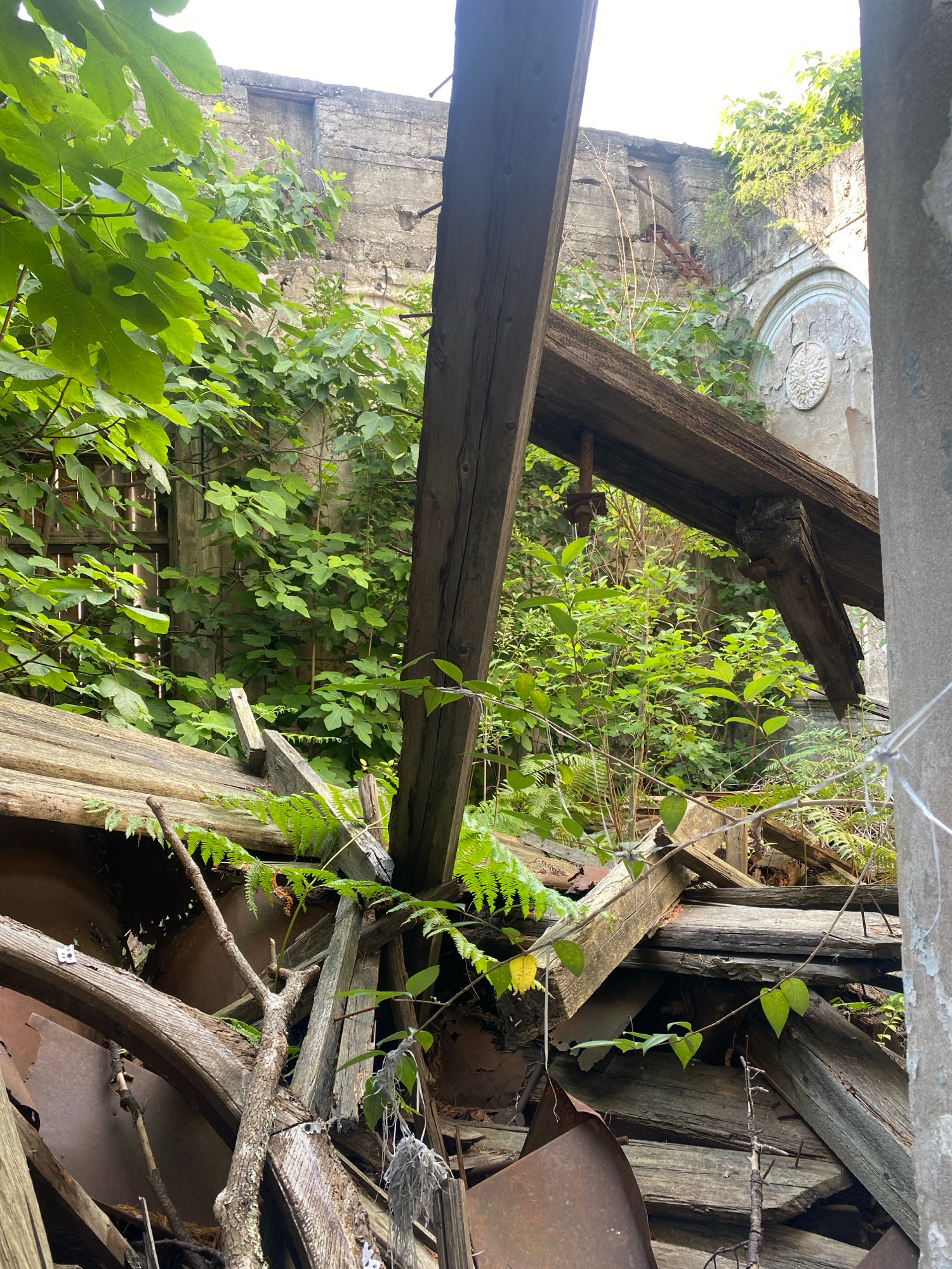 This is a photograph taken in the city of Psakhara, Abkhazia, depicting a scene of urban decay and overgrowth. The foreground is dominated by weathered wooden beams, some broken and others supporting decaying structures. Rusted metal, possibly part of barrels or machinery, is visible underneath the wooden debris. Lush green foliage, including large-leafed plants and ferns, has aggressively reclaimed the space, growing through and around the remnants of human construction. In the background, a weathered concrete wall suggests the former presence of a building. An arched niche with decorative elements is visible on this wall, hinting at past architectural features. The overall impression is one of nature's resurgence in a forgotten or abandoned location. There are no people or animals visible in the image.