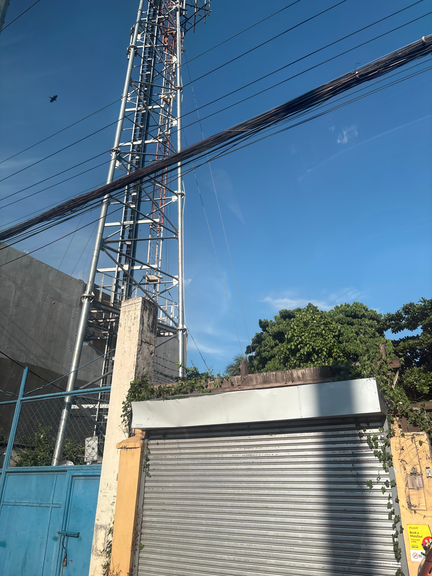 In Davao City, Philippines, a scene unfolds beneath a clear blue sky, dominated by a tall, metallic telecommunications tower. To the left, a grey concrete building stands adjacent to the tower. Power lines crisscross the sky, strung between poles or attached to structures. A small, dark bird is captured in flight in the upper left quadrant of the image. In the foreground, a blue metal gate with a chain and padlock is visible. To the right, a metal roll-up door, partially closed, covers what appears to be a shop or commercial establishment. A light-colored concrete pillar supports the structure above the roll-up door, which is partially overgrown with vines. A yellow flyer with a "NO" symbol and text is attached to the wall to the right of the roll-up door. Lush green trees can be seen behind the structures, adding a natural element to the urban landscape.
