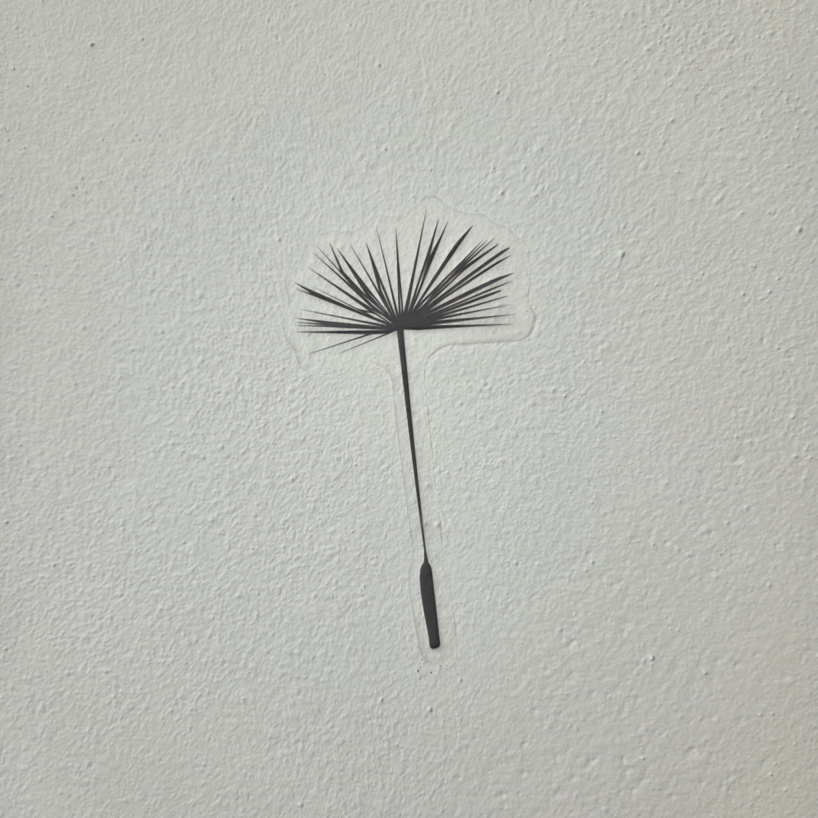 A close-up, high-angle shot shows a dandelion seed head casting a shadow on a textured, light-colored wall. The seed head is the primary subject, with its delicate feathery parachute and the slender stem reaching out to the right. The shadow it casts mimics its shape, with the fan-like structure of the pappus creating a starburst pattern and the stem extending into a dark, elongated oval. The wall appears to be painted or stuccoed, exhibiting a rough, uneven surface with small indentations and variations in tone. The lighting suggests a light source from the upper left, casting a distinct shadow that highlights the intricate structure of the seed. The overall impression is one of quiet observation, focusing on the ephemeral beauty of a common natural element. The setting is an indoor or outdoor wall, but the context of Piešťany, Slovakia, is provided externally. There is no visible text in the image.