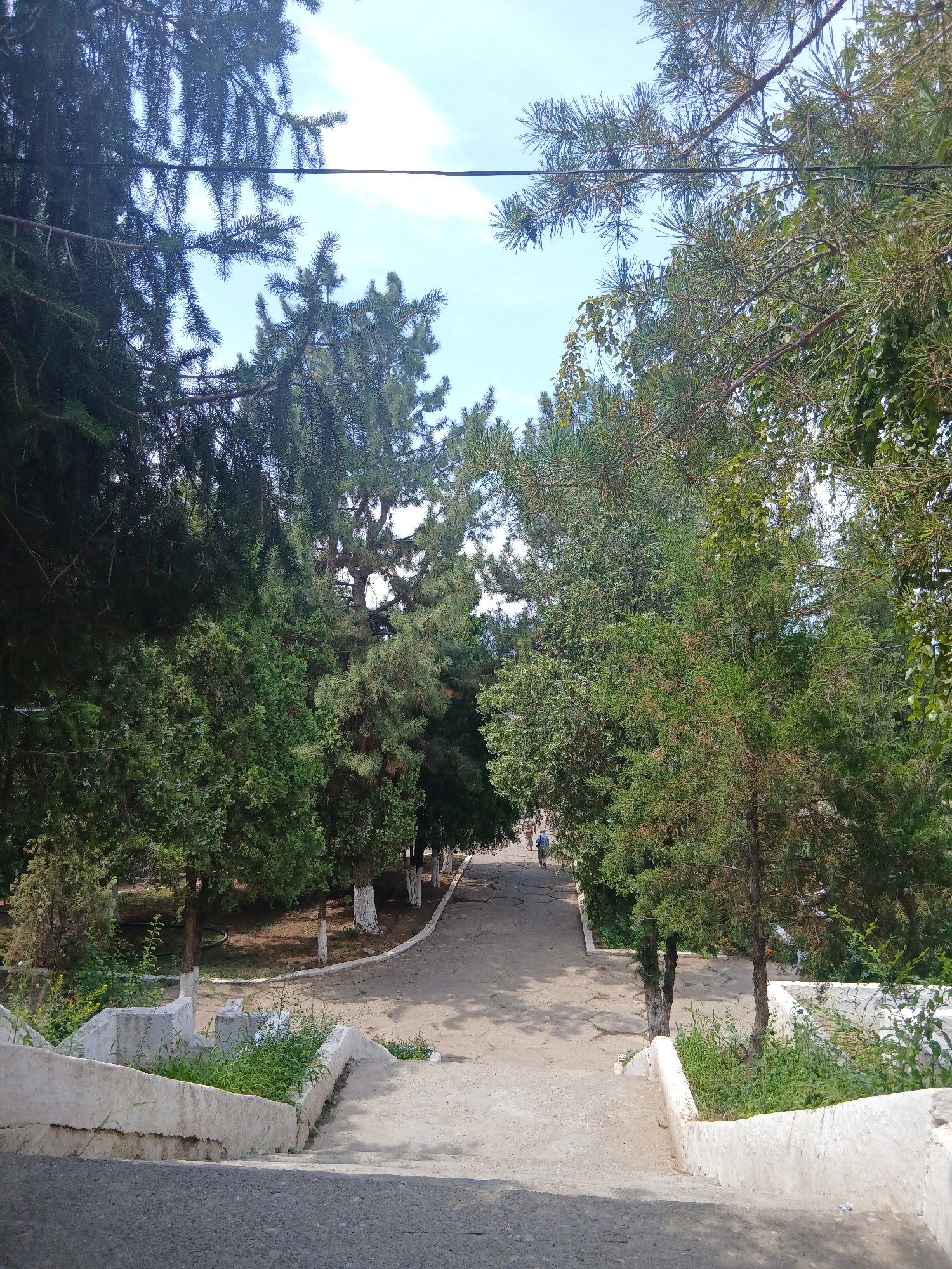 A straight-on, eye-level, medium shot captures a descending concrete pathway flanked by low, white concrete retaining walls. The pathway leads down into a park-like area abundant with various evergreen trees, including tall pines and shorter, denser conifers. The trees cast dappled shadows on the path. In the middle distance, two individuals, one appearing to be an adult and the other a child, are walking away from the camera down the path. Further in the background, the path curves gently to the right, bordered by more trees with whitewashed trunks, suggesting a maintained public space. The sky above is clear blue with scattered white clouds. The overall scene depicts a peaceful, outdoor setting within a city, likely in Bazar-Korgon, Kyrgyzstan, given the architectural style and vegetation.
