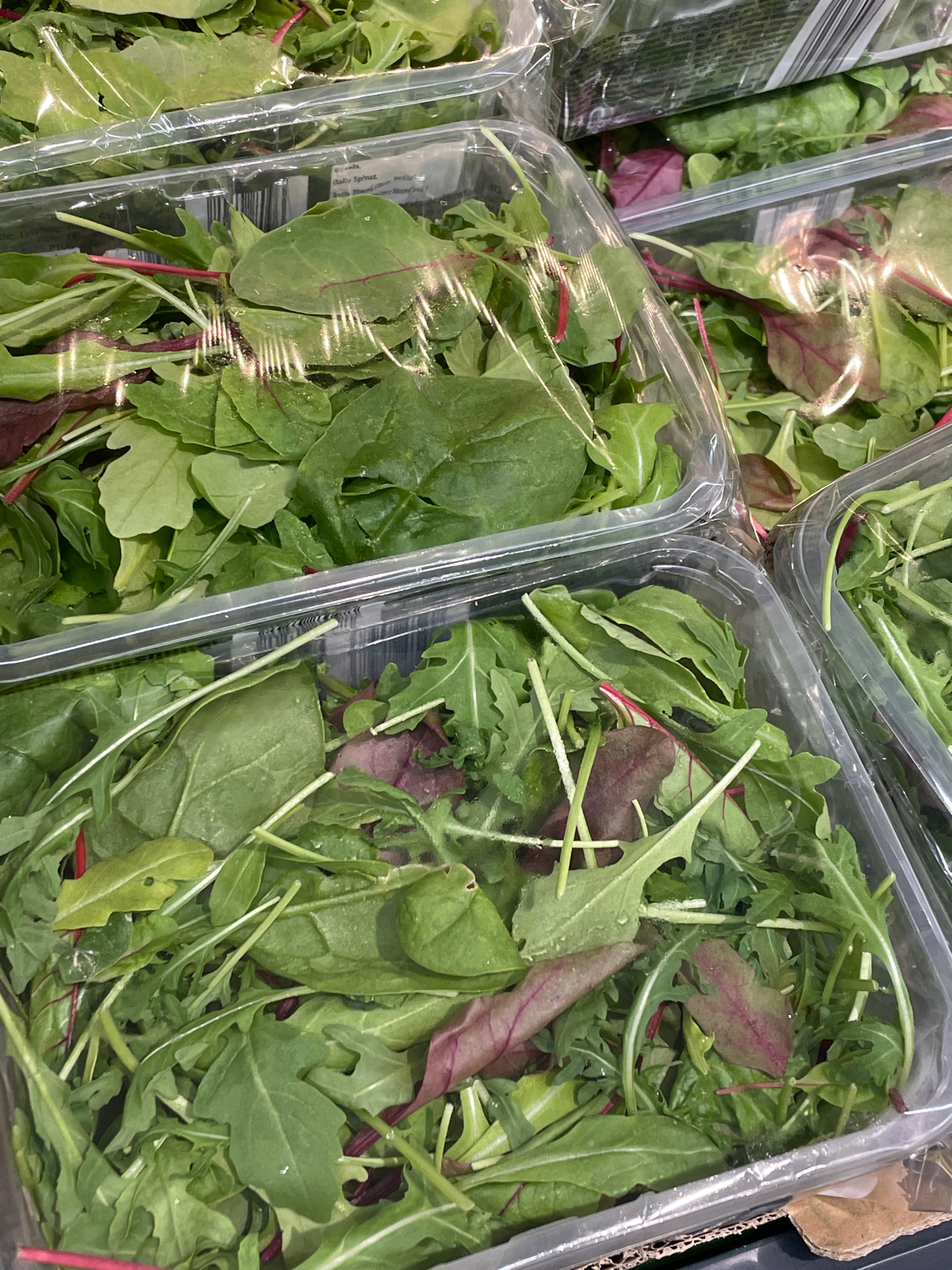 The image shows several plastic containers of mixed green salad, likely at a supermarket in Hennef, Germany. The containers are stacked and filled with a variety of leafy greens, including spinach, arugula, and red chard. The salad appears fresh and is glistening with water droplets. The containers are clear plastic, allowing the vibrant colors of the salad to be visible. The background is blurred but suggests a retail environment, possibly a refrigerated display. There are no people or animals visible in the image.