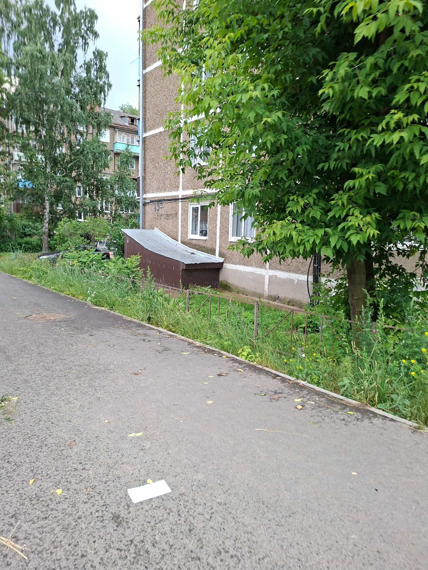 An outdoor, ground-level, eye-level, medium shot captures a paved pathway in front of a multi-story apartment building. The pathway, which appears to be asphalt, has a slight sheen suggesting it may be damp. Scattered across the pathway are a few fallen leaves and a single white rectangular object, possibly a piece of paper. To the right of the pathway, a narrow strip of overgrown grass and vegetation runs along a low metal fence. Behind the fence is a small, dark brown, shed-like structure with a corrugated metal roof. Further back, partially obscured by lush green foliage from a large tree in the foreground, is the building itself, characterized by its rough, textured facade, white trim around windows, and balconies. In the background, more apartment buildings and trees are visible under an overcast sky. The scene is set in a residential area, likely within the city of Kazan, Russia. No people are visible in the frame.
