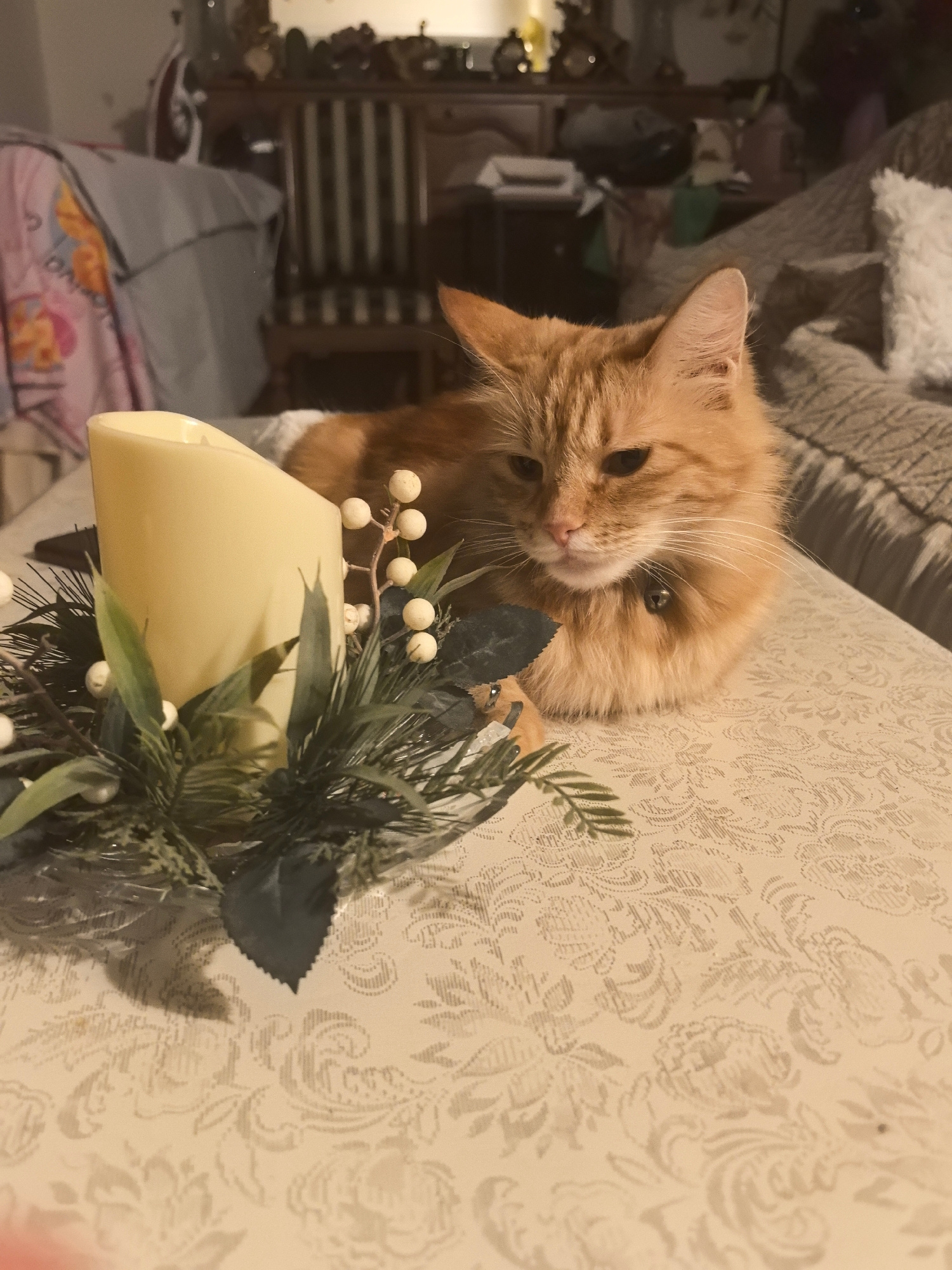 The image shows an orange tabby cat resting on a patterned tablecloth, beside a candle with decorative greenery. The cat is looking to its right with its eyes partially closed. A bell is visible on the cat's collar. In the background, there is a dimly lit room with furniture, including a chair with striped upholstery and a couch. The overall setting appears to be a domestic environment. There is no indication of this scene being located in Tashkent, Uzbekistan.
