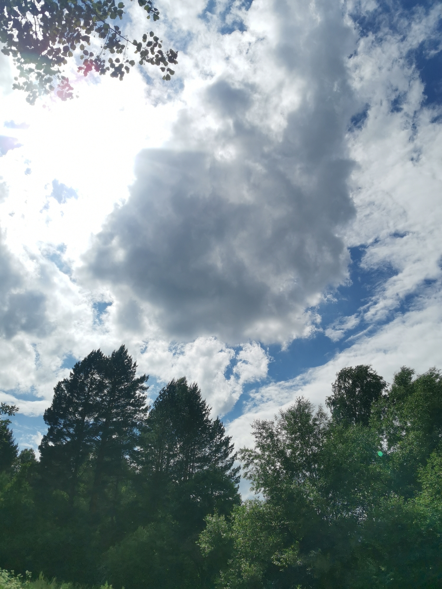 A low-angle shot captures a sky filled with dramatic clouds. A large, dark cloud dominates the center of the frame, partially obscuring the bright sun, which causes lens flare in the upper left corner. Lighter, wispy clouds are scattered across the bright blue sky. Silhouetted against the sky, in the lower half of the image, is a dense line of dark green trees, with the tops of several tall trees, possibly pines, poking above the rest. The trees appear to be in a natural setting, possibly a forest or park. The image is taken in the city of Unknown, Unknown.