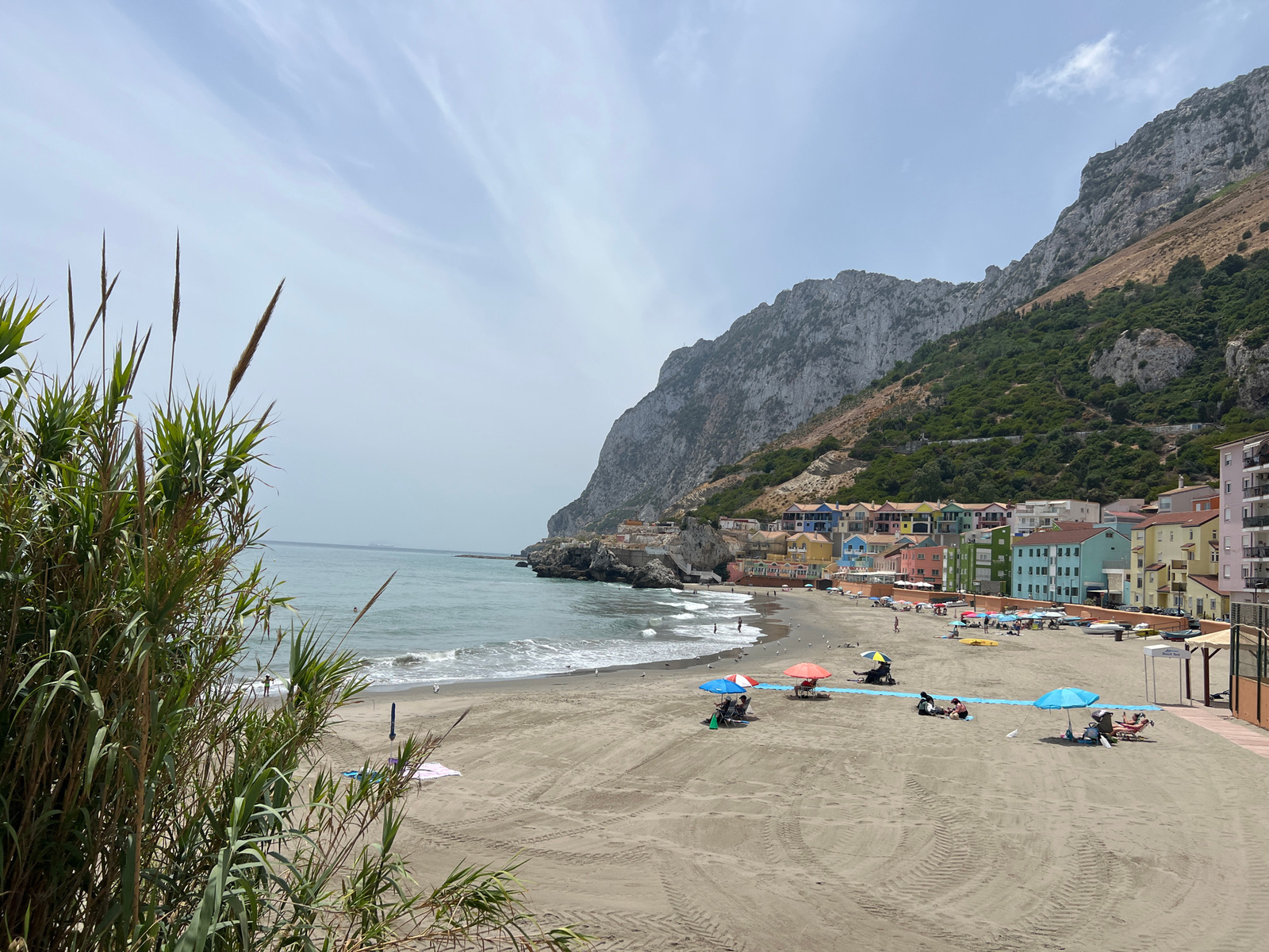 This image depicts Sandy Bay, Gibraltar, a small beach located on the eastern side of the Rock. The foreground is dominated by lush green reeds, with the sandy beach stretching out behind them towards the Mediterranean Sea. The water is a calm, light blue, with gentle waves lapping the shore.
Scattered across the sand are several beach umbrellas and loungers, some occupied by people enjoying the sun. A few individuals are also visible walking along the water's edge or swimming in the sea. The background features a row of colorful buildings, characteristic of Gibraltar's Mediterranean architecture, perched on the hillside beneath the imposing grey Rock of Gibraltar. The Rock itself is a prominent feature, with its rugged terrain and sparse vegetation. The sky is a clear, pale blue, with wispy clouds.
