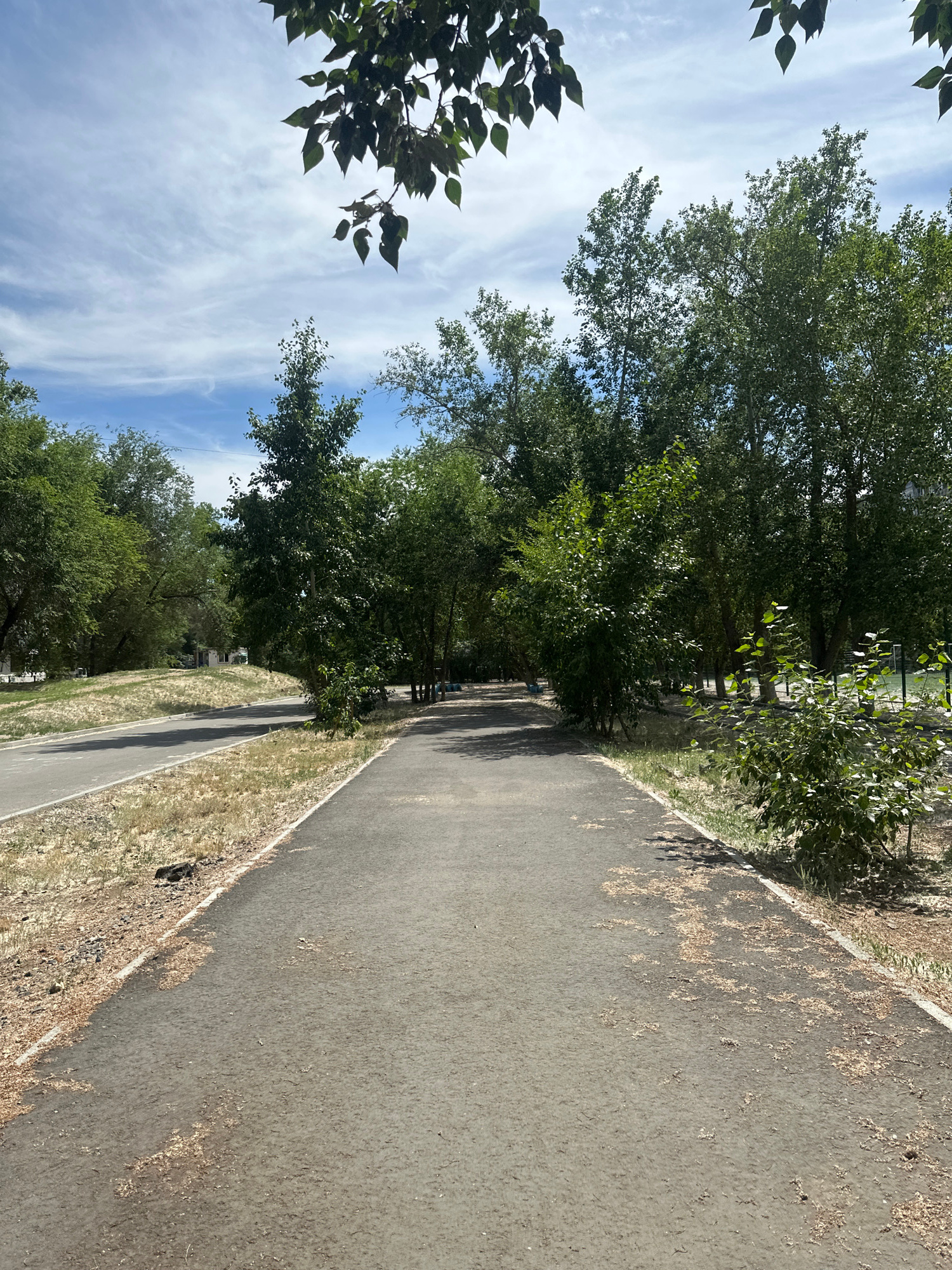 The image shows a paved path in a park-like setting. The path is lined with grass and trees on both sides. The sky is blue with some clouds. The path appears to be a walking or cycling path. There are no people or animals visible in the image. The environment appears to be a warm, sunny day.