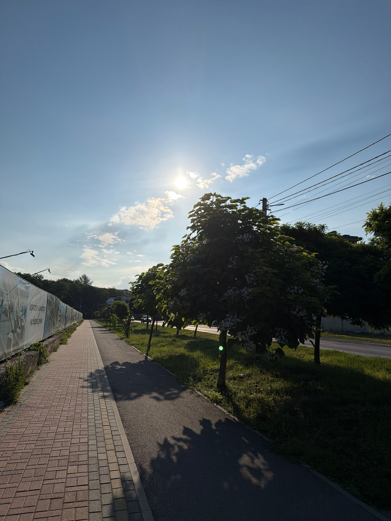 A sun-drenched pedestrian path runs alongside a construction site, bordered by a patterned fence on the left and a road on the right. The path itself is paved with reddish-brown interlocking bricks and transitions into an asphalt surface further down. Lush green grass lines the right side of the path, where several trees with white blossoms are planted. The bright sun is positioned in the upper right quadrant of the sky, casting long shadows from the trees onto the path. Power lines are visible against the clear blue sky, stretching across the upper right of the frame. The scene appears to be a street in Uzhhorod, Ukraine, on a clear, sunny day.