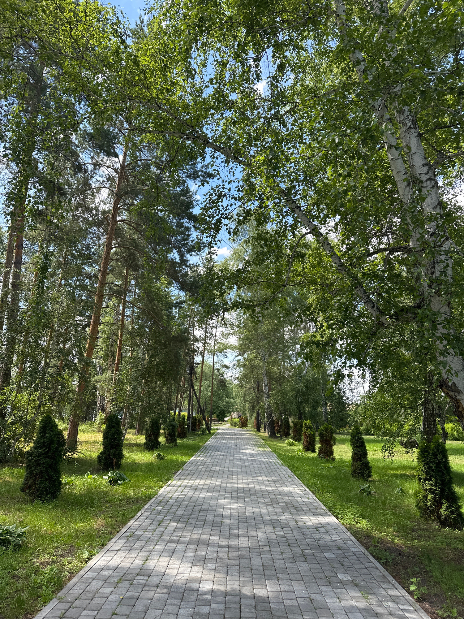 The image depicts a paved walkway made of light gray rectangular stones, stretching into the distance through a park-like setting. The walkway is lined on both sides by lush green grass and well-maintained coniferous trees in a conical shape. Beyond the grass and trees, tall deciduous trees with vibrant green leaves form a canopy overhead, with glimpses of a blue sky with scattered white clouds visible through the foliage. The scene appears to be a tranquil outdoor pathway, possibly in a recreational area or a botanical garden, located in Duvankul', Russia, given the context. There are no people or animals visible in the image. The lighting suggests it is daytime, with sunlight filtering through the trees, casting dappled shadows on the walkway and grass.