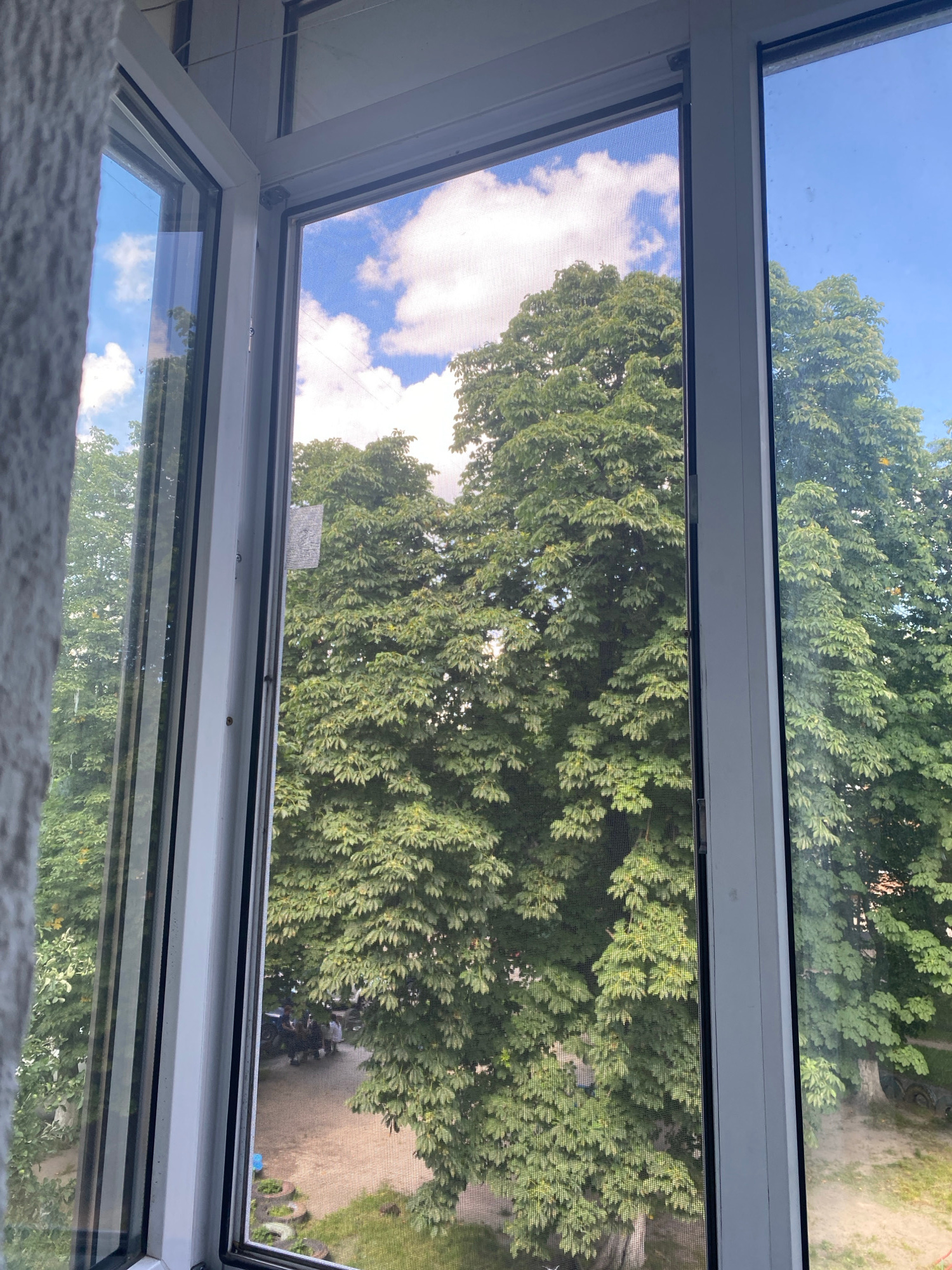 The image shows a view through a window, looking outwards. The window frame is white and appears to be made of uPVC. The view is divided into two panes by a horizontal bar.
The upper pane looks out at a bright blue sky with scattered white clouds. A large, leafy green tree fills the majority of the upper pane, its branches and leaves obscuring much of the sky. The tree appears to be deciduous, with dense foliage.
The lower pane shows a similar view, also dominated by the green tree. Through the mesh of a screen, a patch of ground with some scattered objects can be seen. The ground appears to be a dirt or gravel path, with some green grass on the edges. There are some dark shapes that could be parked vehicles or other outdoor equipment.
The light suggests it is daytime, likely late morning or afternoon, given the brightness of the sky and the shadows cast by the tree. The overall impression is of a pleasant, possibly sunny day, with the view from an apartment or house window overlooking a courtyard or garden area with mature trees. There is no text visible in the image.