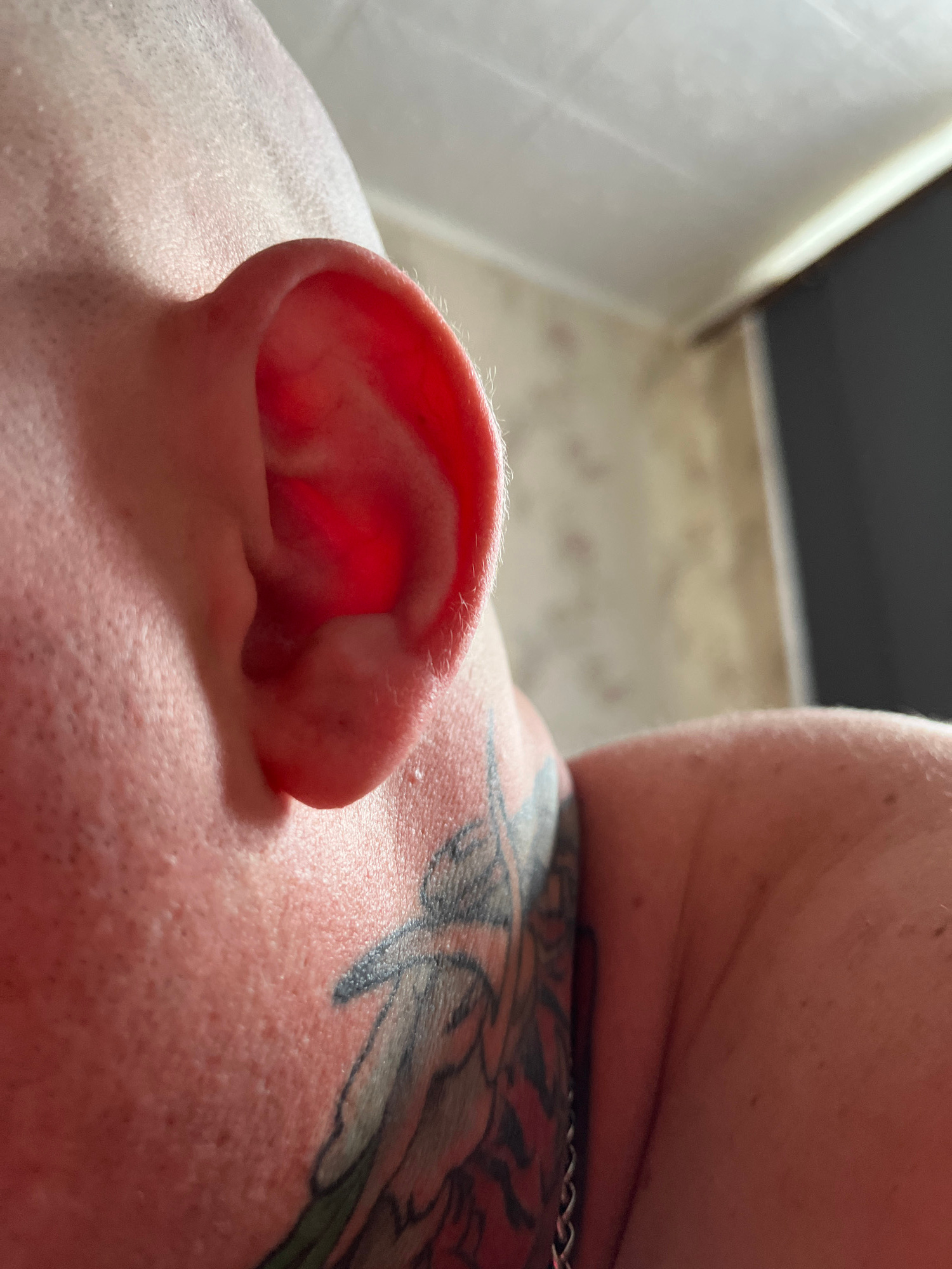 This is a close-up, low-angle, eye-level shot of a human ear. The ear is a light pink color, illuminated from behind, giving it a translucent appearance. The skin around the ear is also visible, with small pores and some light stubble on the neck area. A tattoo, featuring black and grey designs with some green and red accents, is visible on the neck and shoulder area. The background is out of focus, showing a ceiling with textured wallpaper and a dark vertical object, possibly a doorway or curtain. The overall lighting suggests an indoor environment with artificial light sources. No specific location in Volgodonsk, Russia, can be identified from the visual information provided.